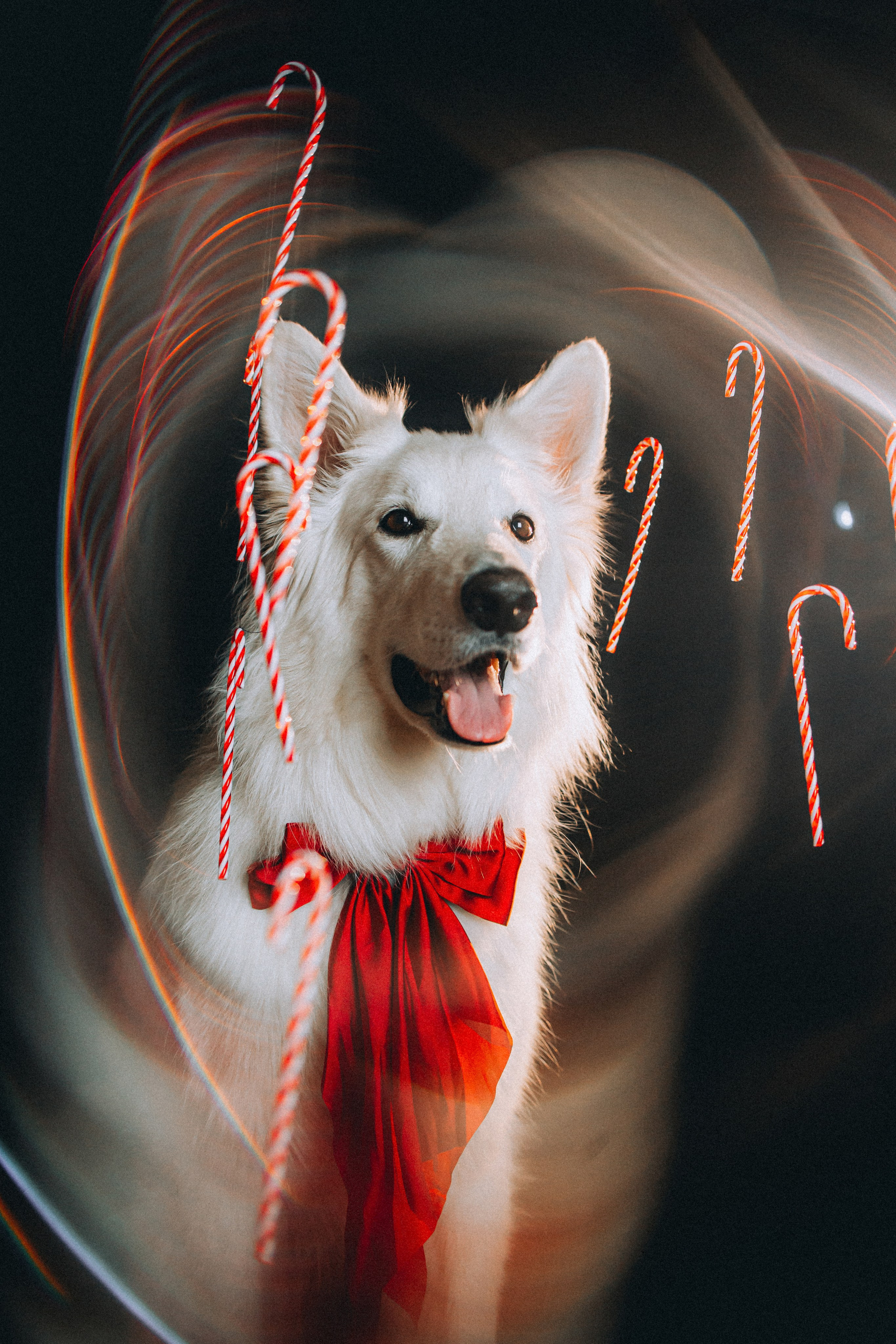 Джек, Бет и Кову