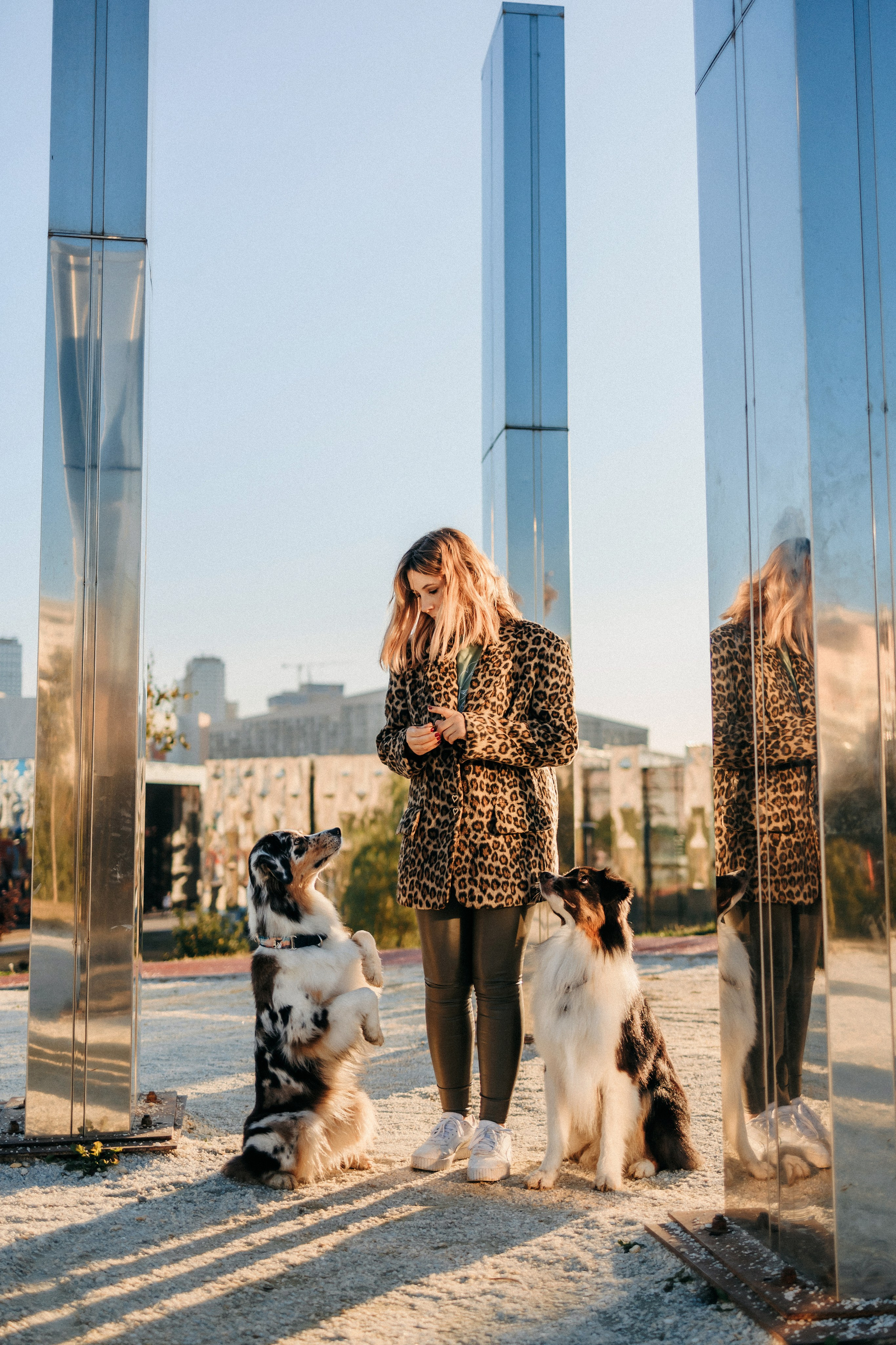 Аня, Чарли и Ева. Фотограф-анималист Елена Радченко, Москва