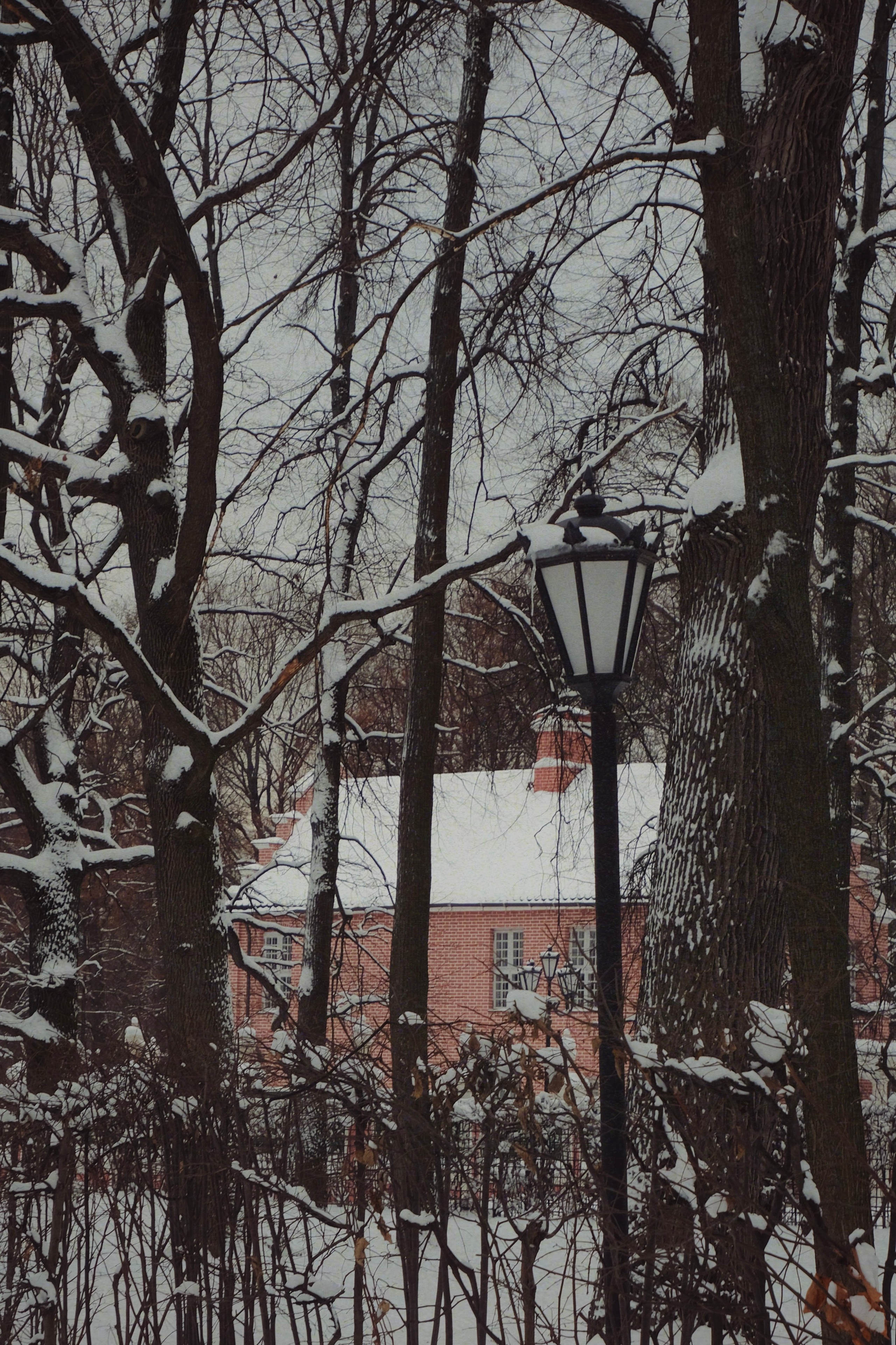 Музей-усадьба кусково. Татьян гертье