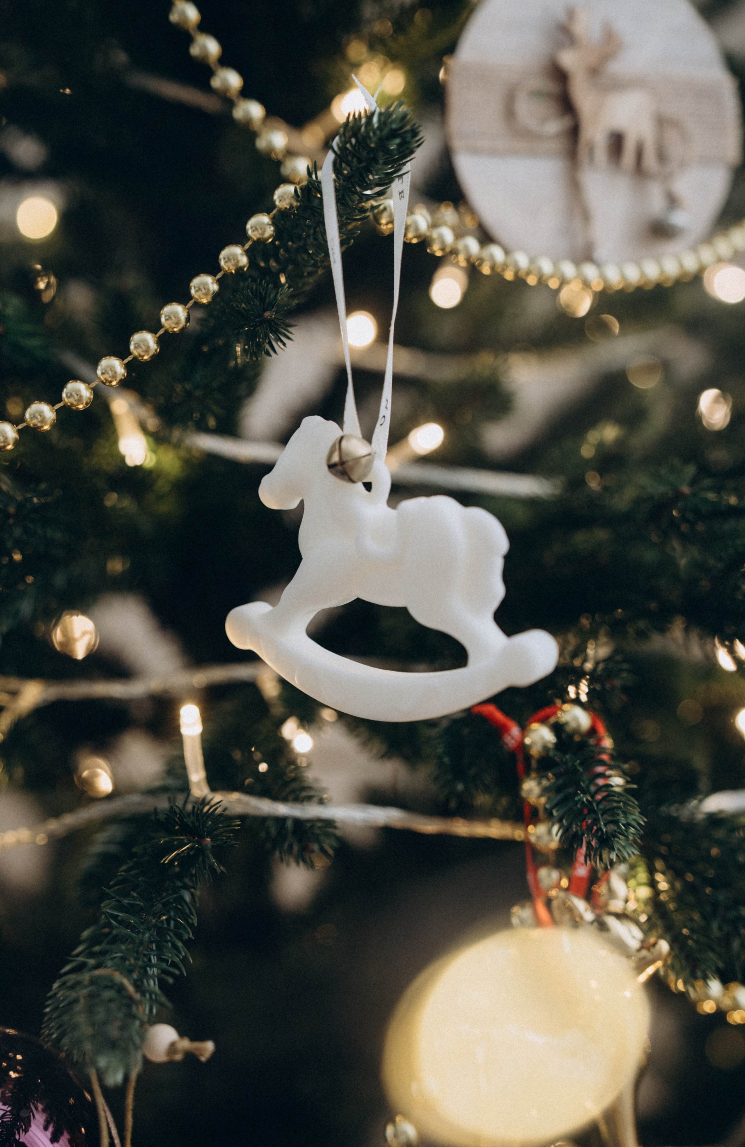 Anastasia and Savely. Фотограф Волгоград