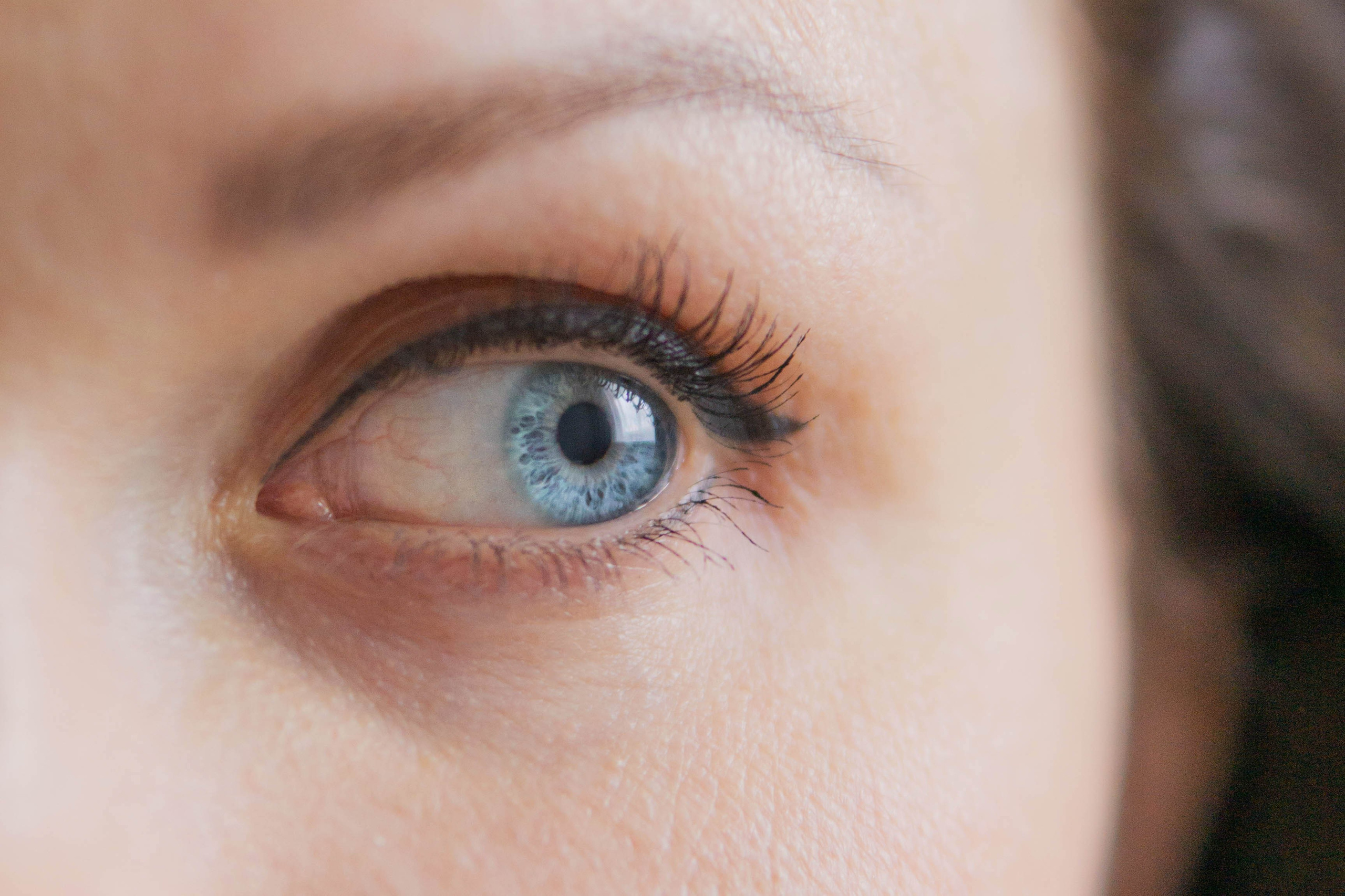 Надя и Ефим. Фотограф-анималист Ксения Воробьева, Москва