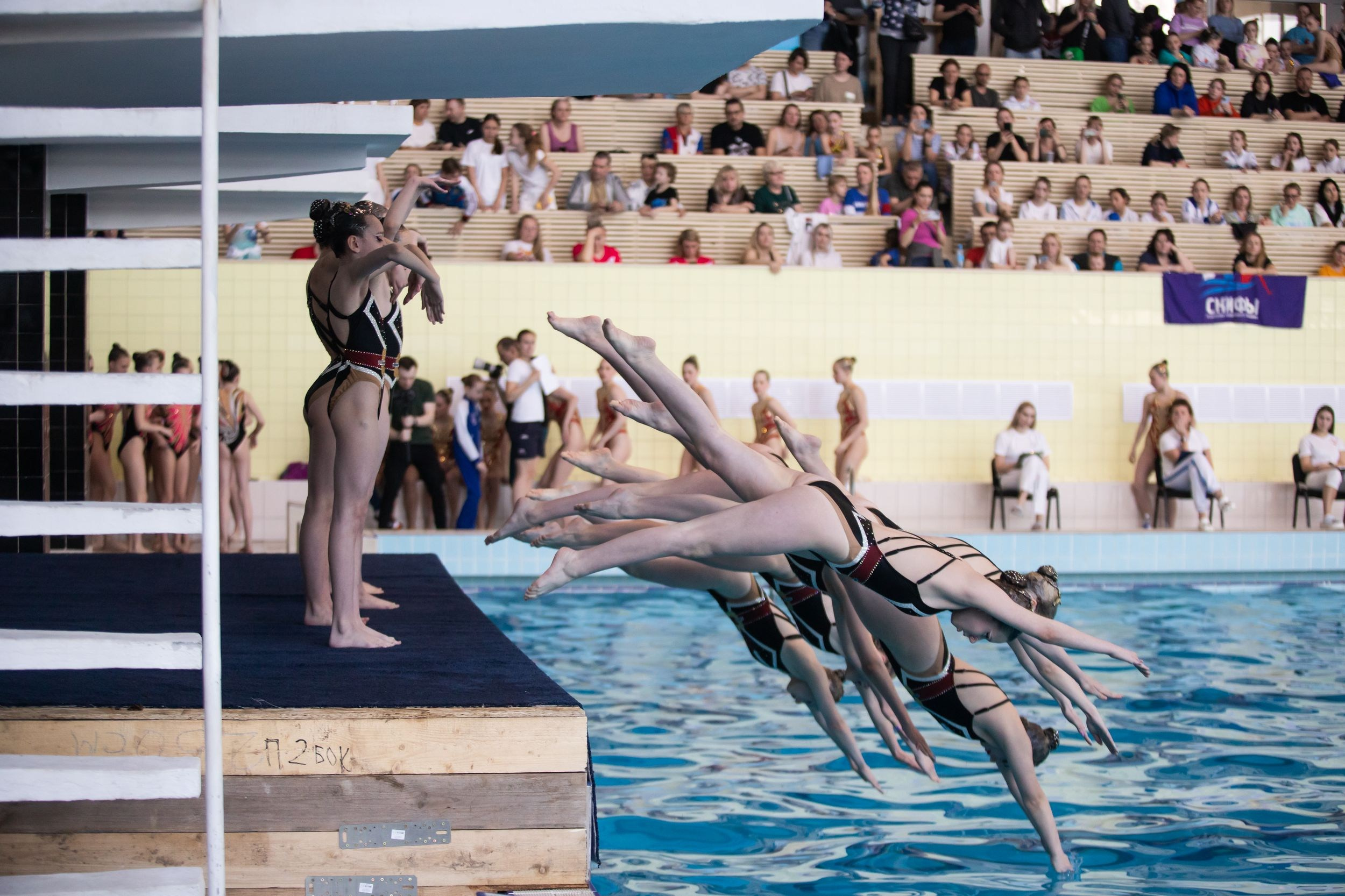 Первенство ЦФО по синхронному плаванию (16 апреля 2023). Репортажный фотограф Алексей Пирязев