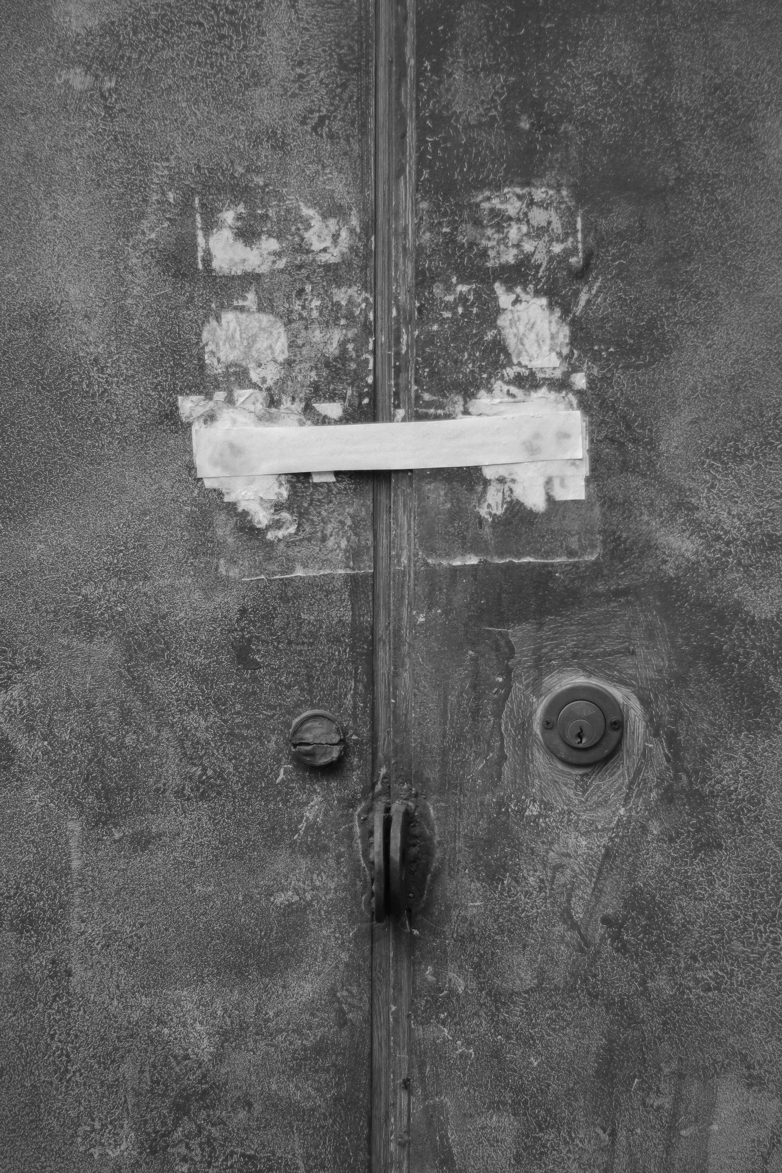 Splitting. Фотограф и исследователь фотографии из Санкт-Петербурга Елизавета Веприцкая