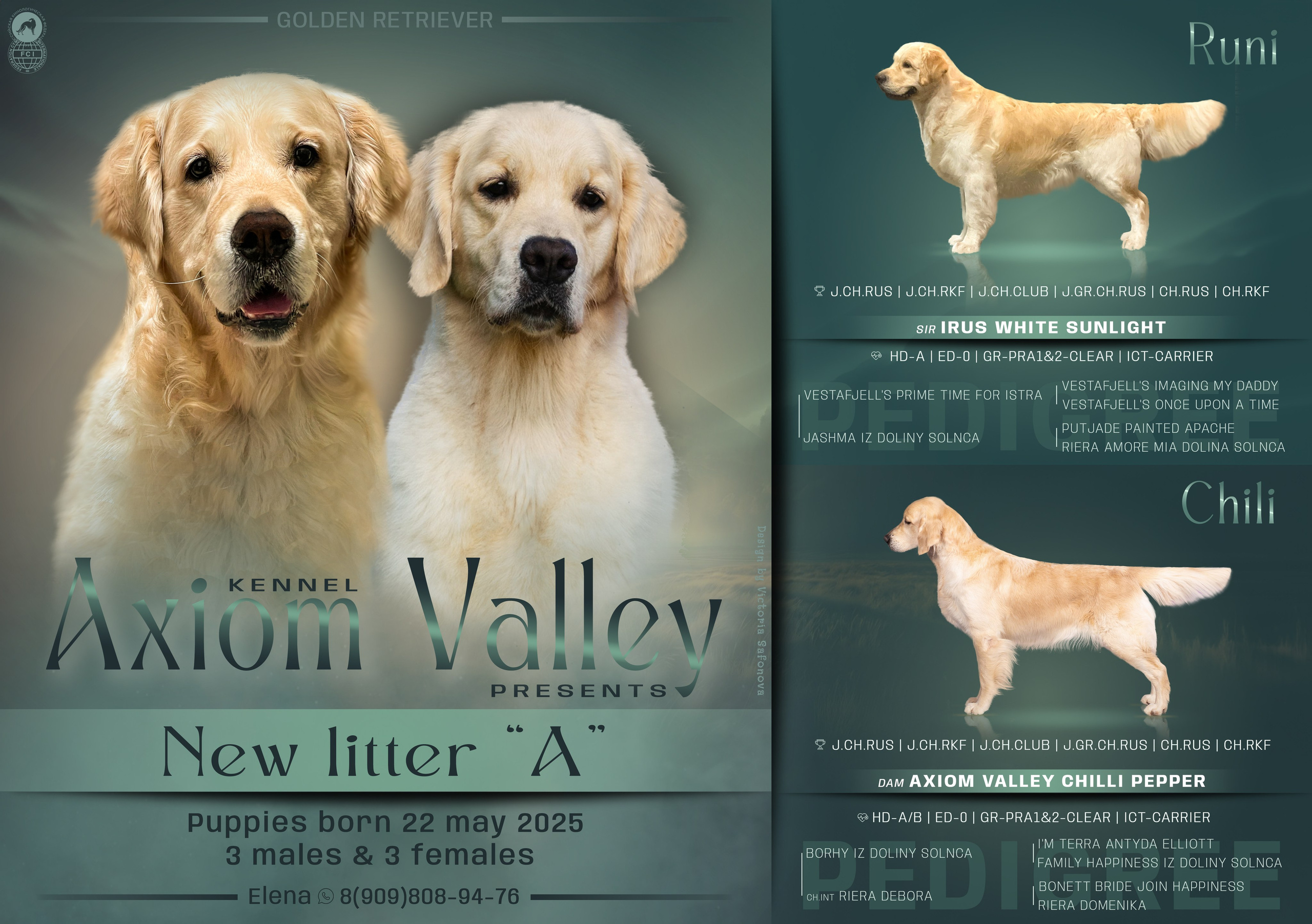 Анонсы помётов. Фотограф анималист Благовещенск. Сафонова Виктория