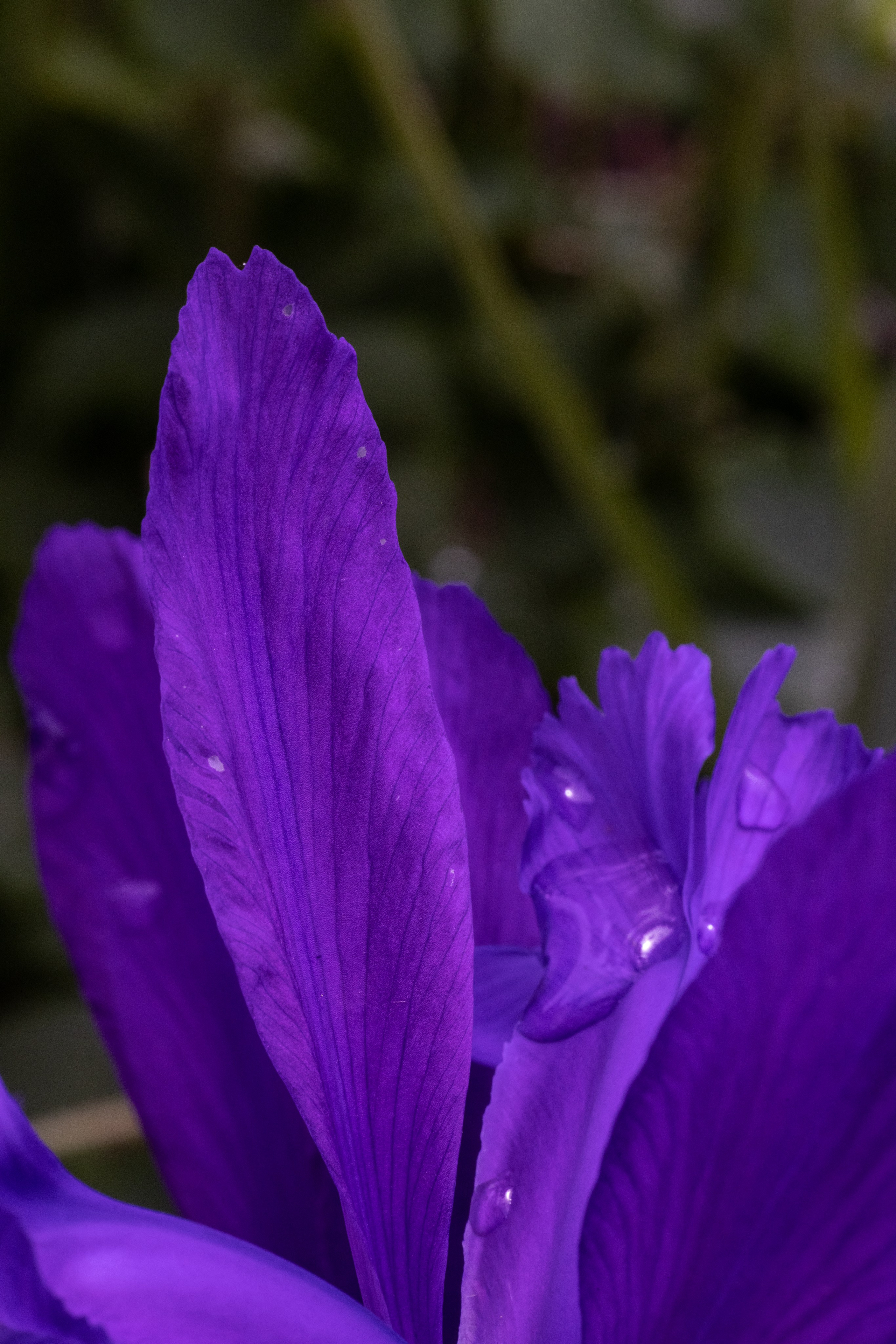 Macro. Фотограф на Юге России