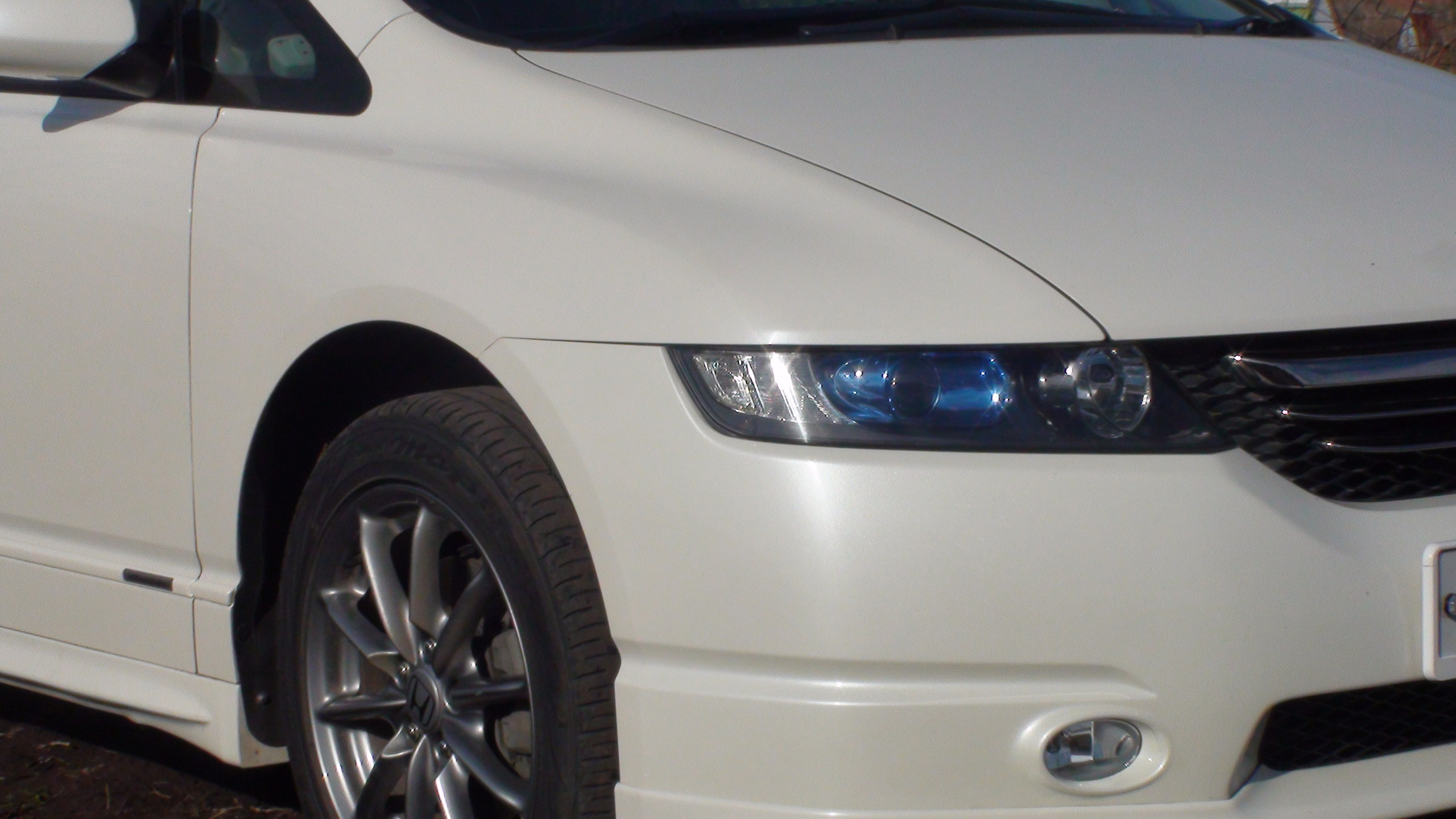 Дача 23.05.2010. Семейный, Свадебный фотограф СПБ Питер— Романова Екатерина