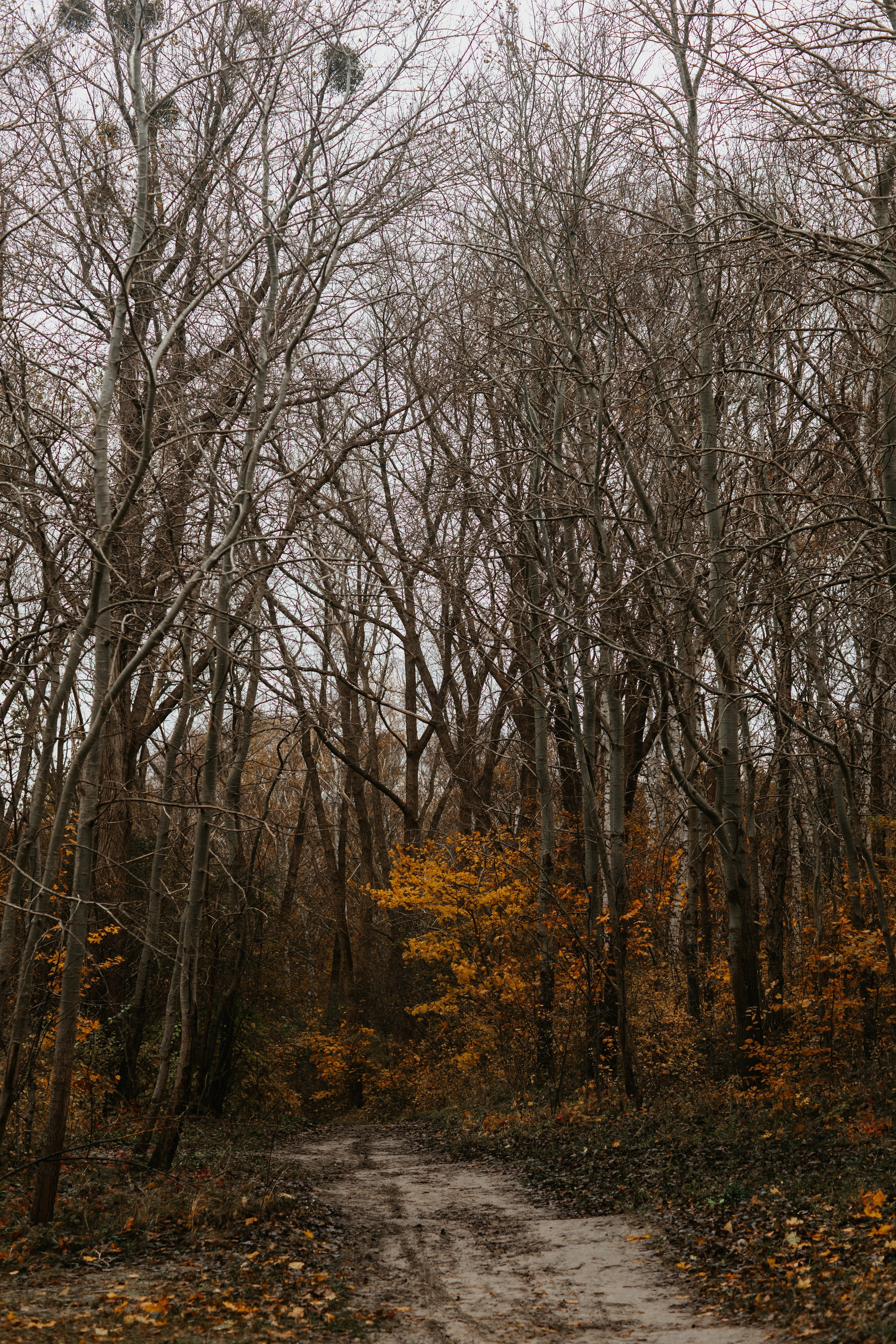 Фотосессия в Балтийске. Свадебный и семейный фотограф/видеограф в Краснодаре Наталья Осинская