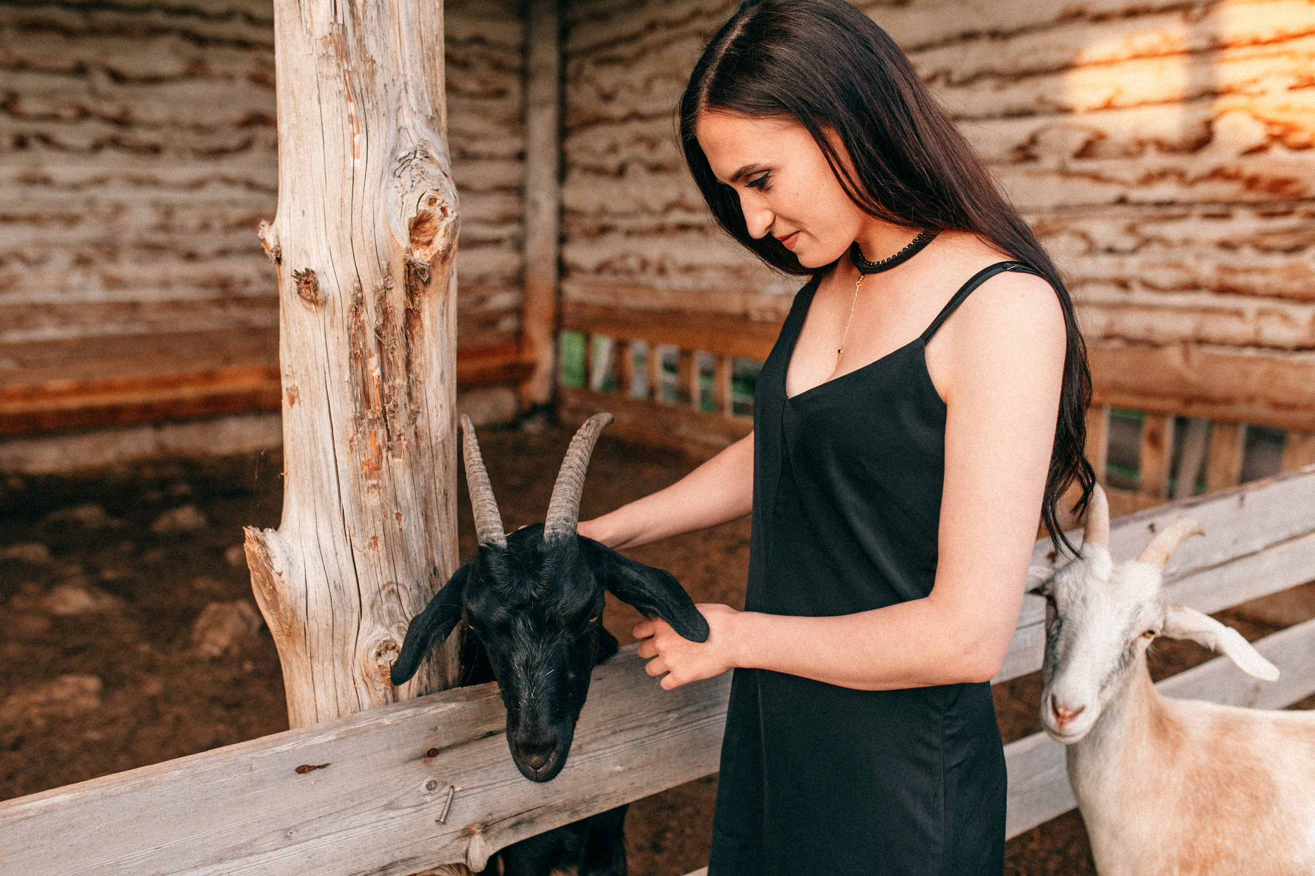 Суаре на ферме. Фотограф Светлана Васильева