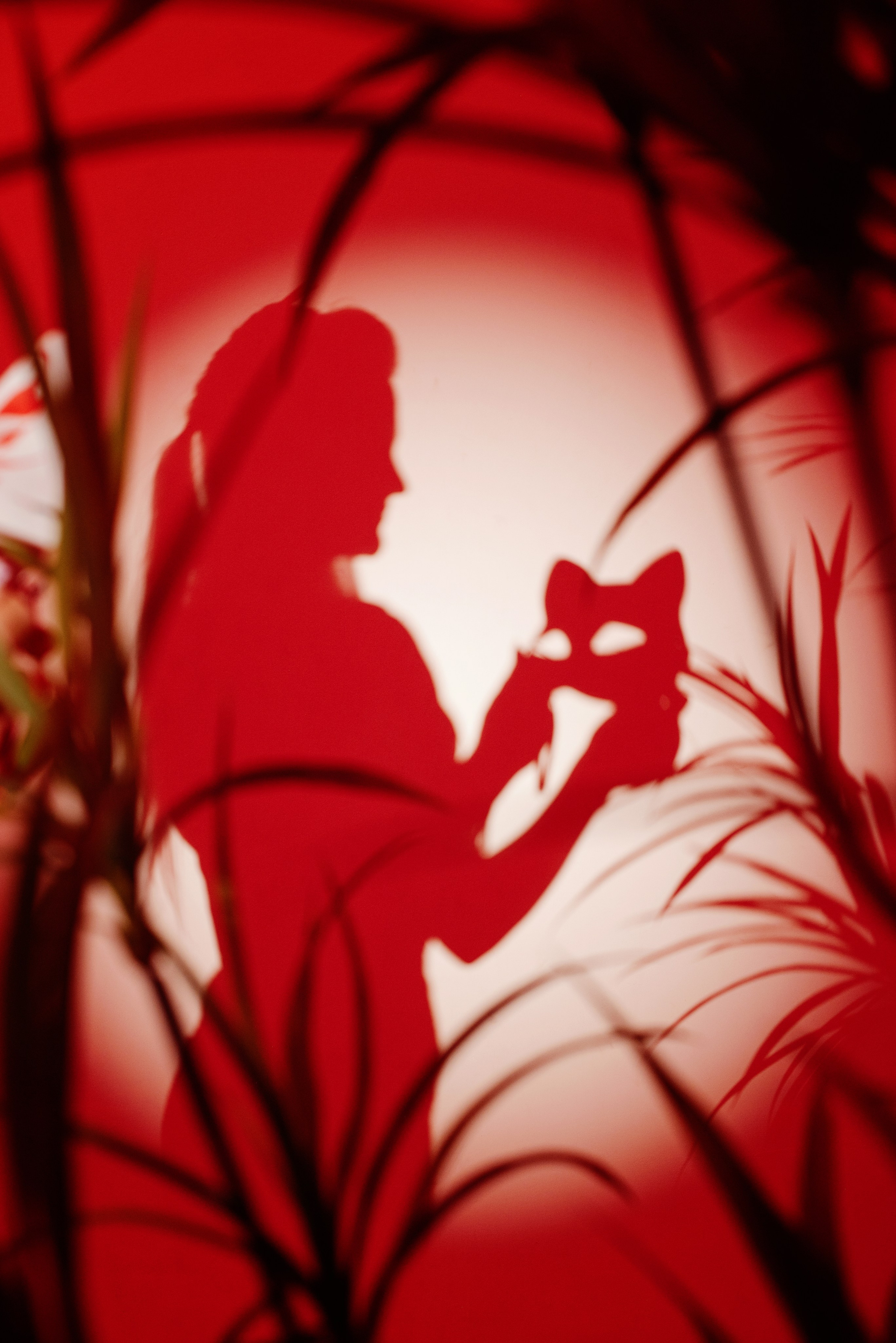 Фото МЕМУАРЫ ГЕЙШИ от Натальи. ФОТОПРОЕКТЫ