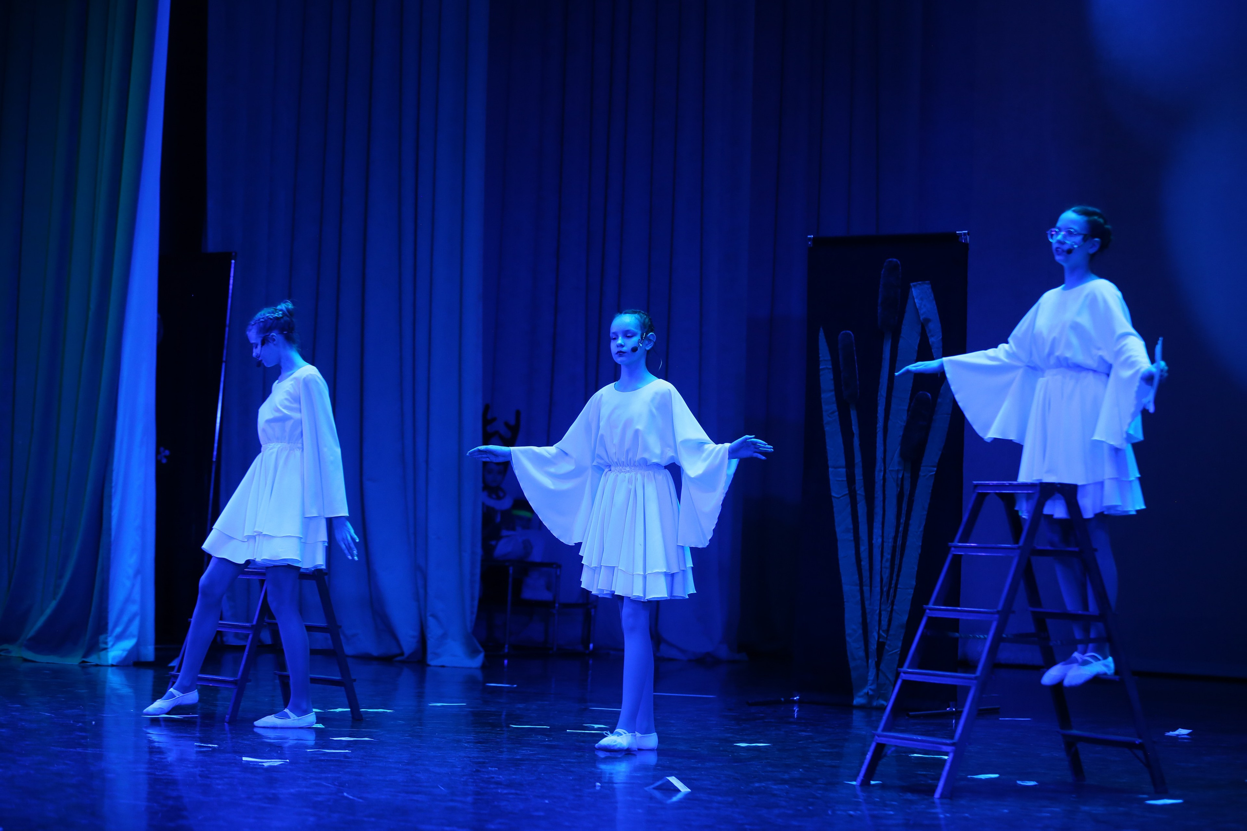 ТС ФАНТАЗИЯ — БЕНЕФИС 25 ЛЕТ. Профессиональный фотограф в Мценске и Орловской области