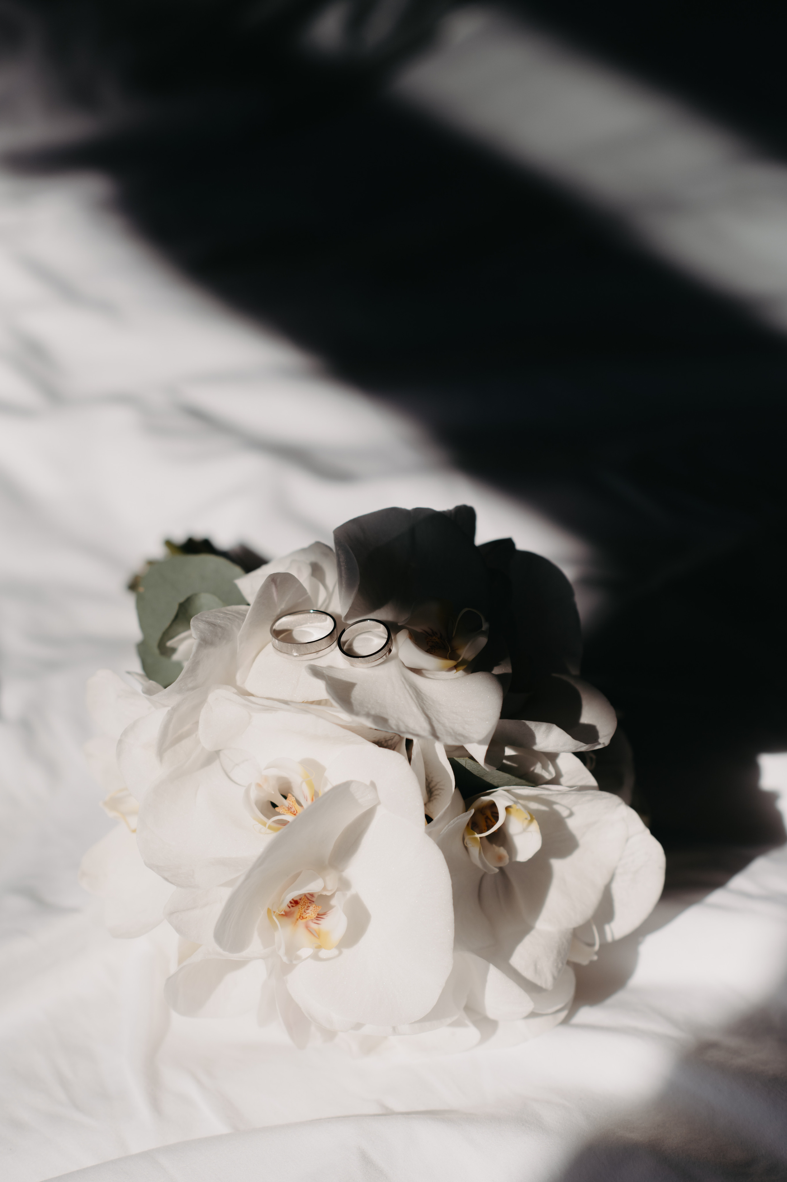 A & M. Свадебный и семейный фотограф в Москве и Европе Евгения Амелина