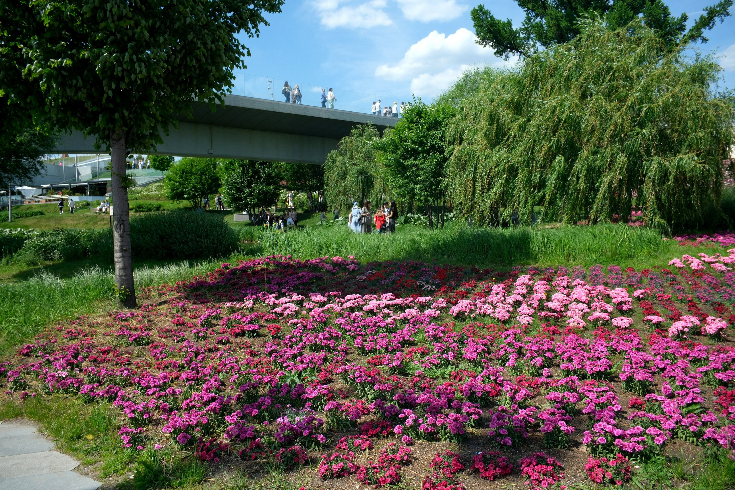 По Москве 25.05.2025. Улица, люди, жизнь…