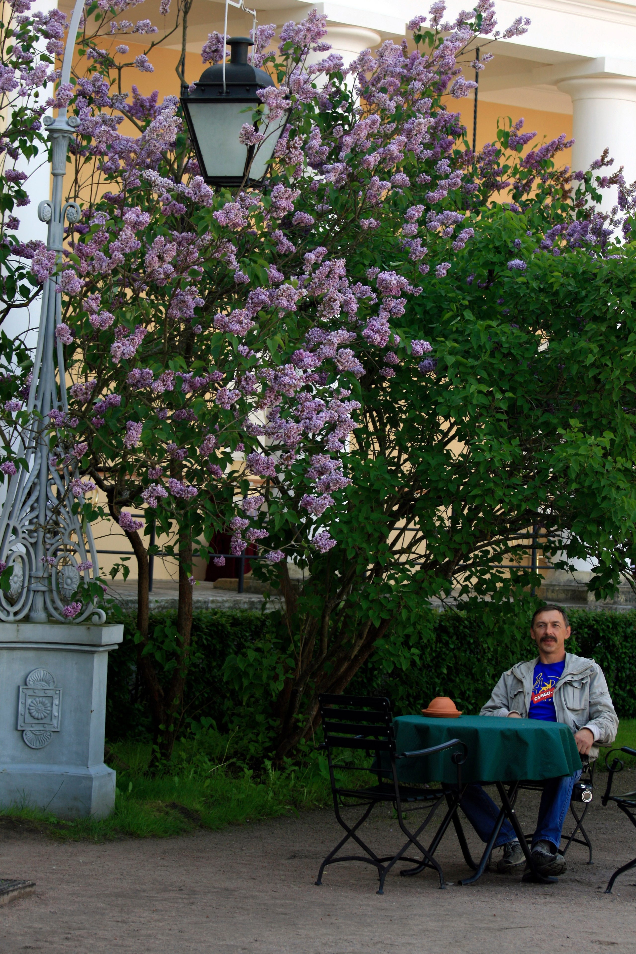 Питер 2010 г. Улица, люди, жизнь…