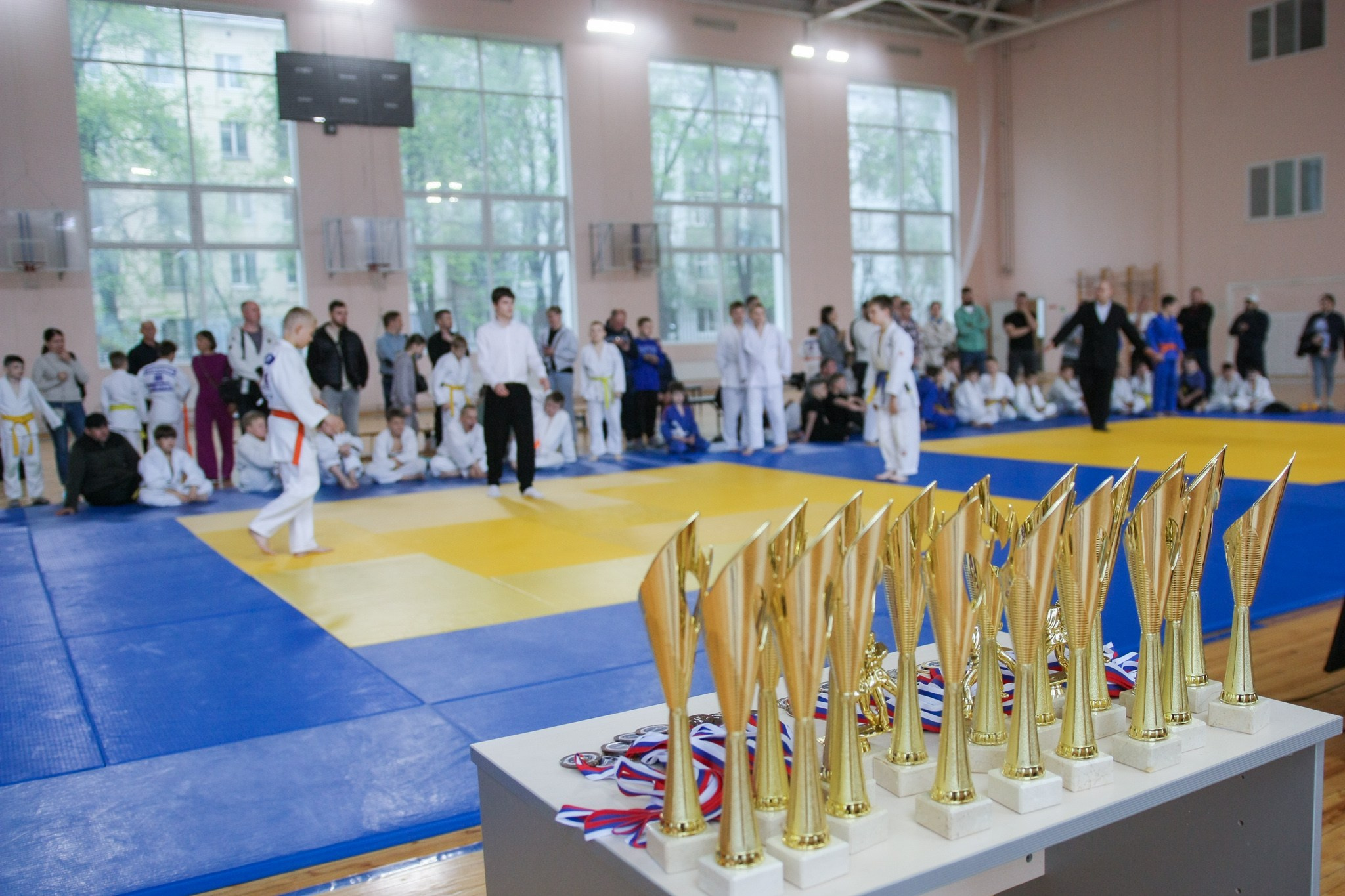 Репортаж с турнира по Дзюдо «Эхо победы в наших сердцах» 11.05.2026. Репортажный фотограф в Москве Екатерина Ремезова