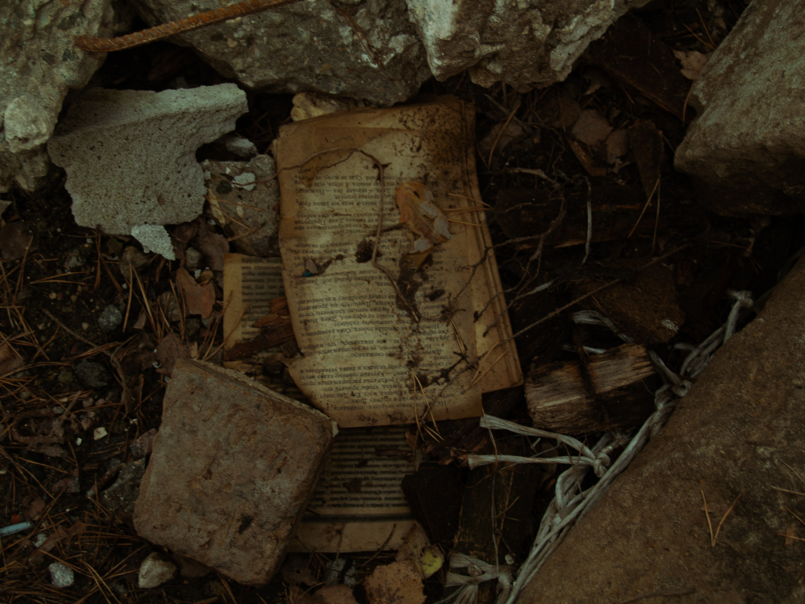 Михаил. Фотограф Елизавета Маслова. Москва. Art, Fashion