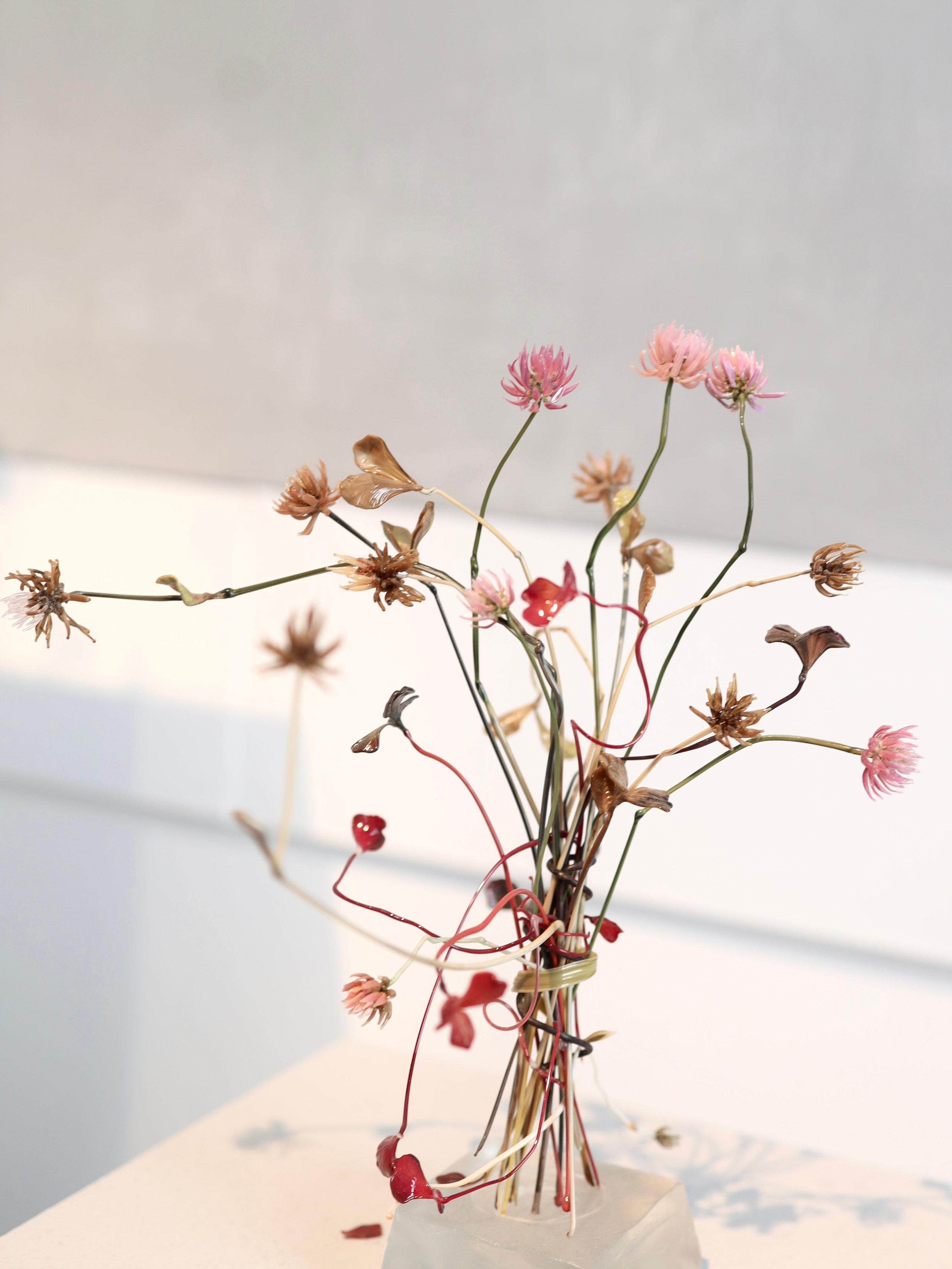 Выставка Степени прозрачности. Фотосессии и репортаж — Фотограф в Москве — Рина Серёгина