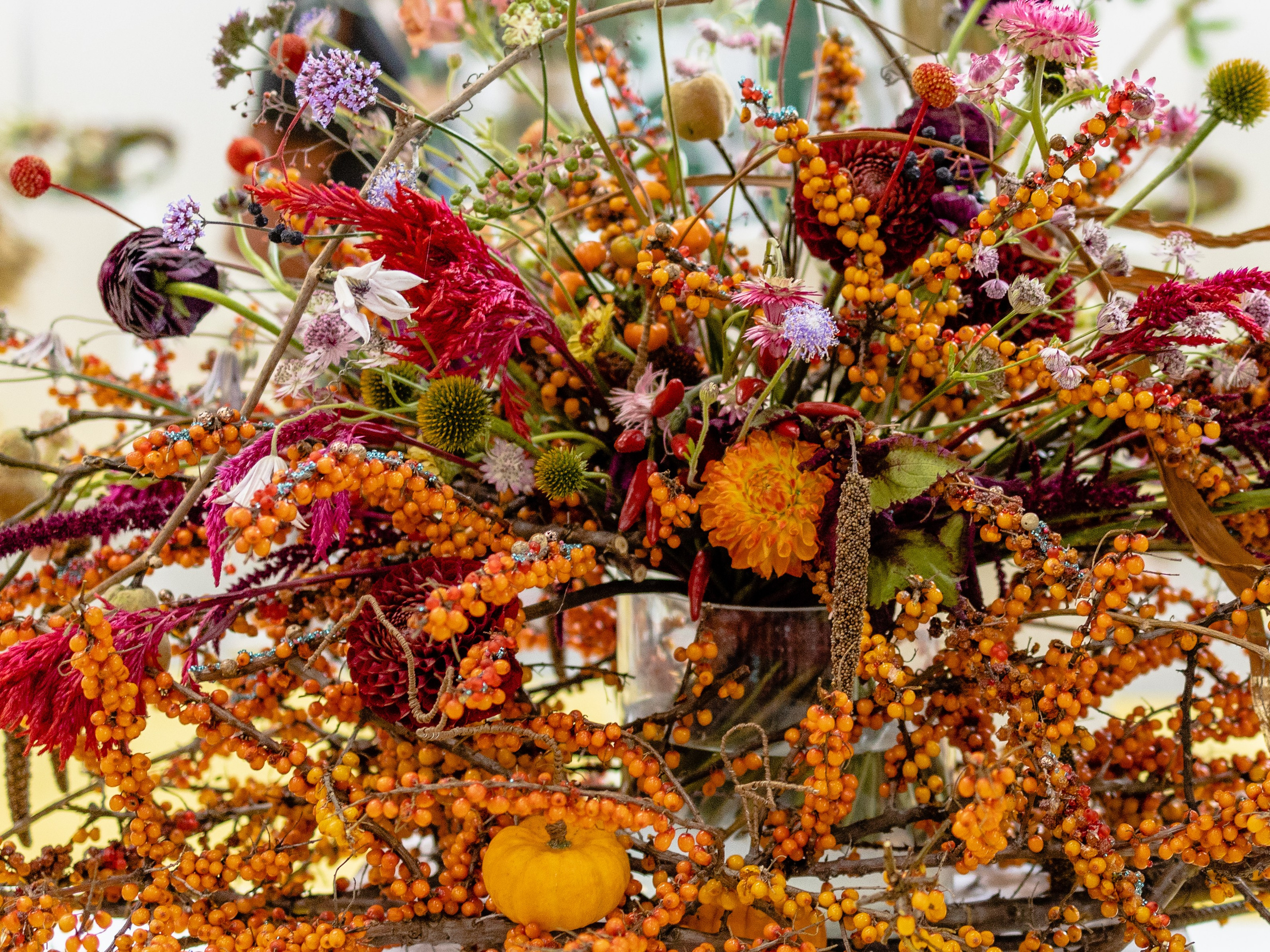 Цветы-Экспо 2024. Фотосессии и репортаж — Фотограф в Москве — Рина Серёгина