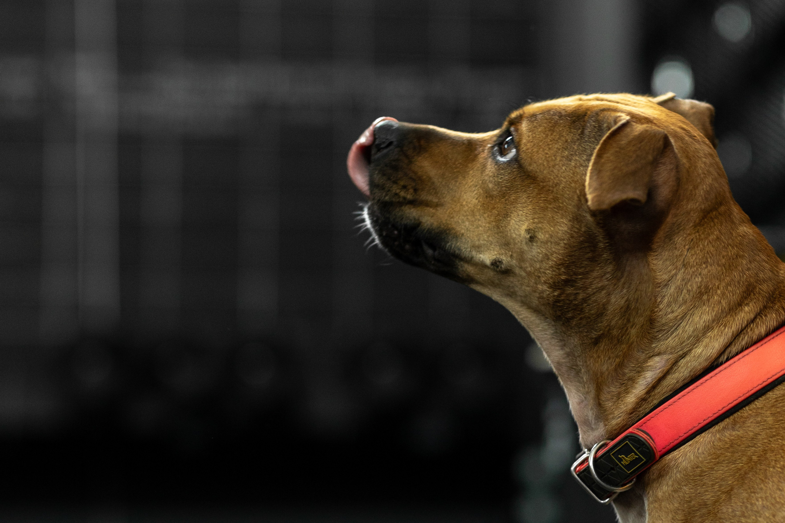 «Bupas gym» Москва 2024. Тренировка в боксерском клубе. Фотограф Алина Ионычева в Новосибирске