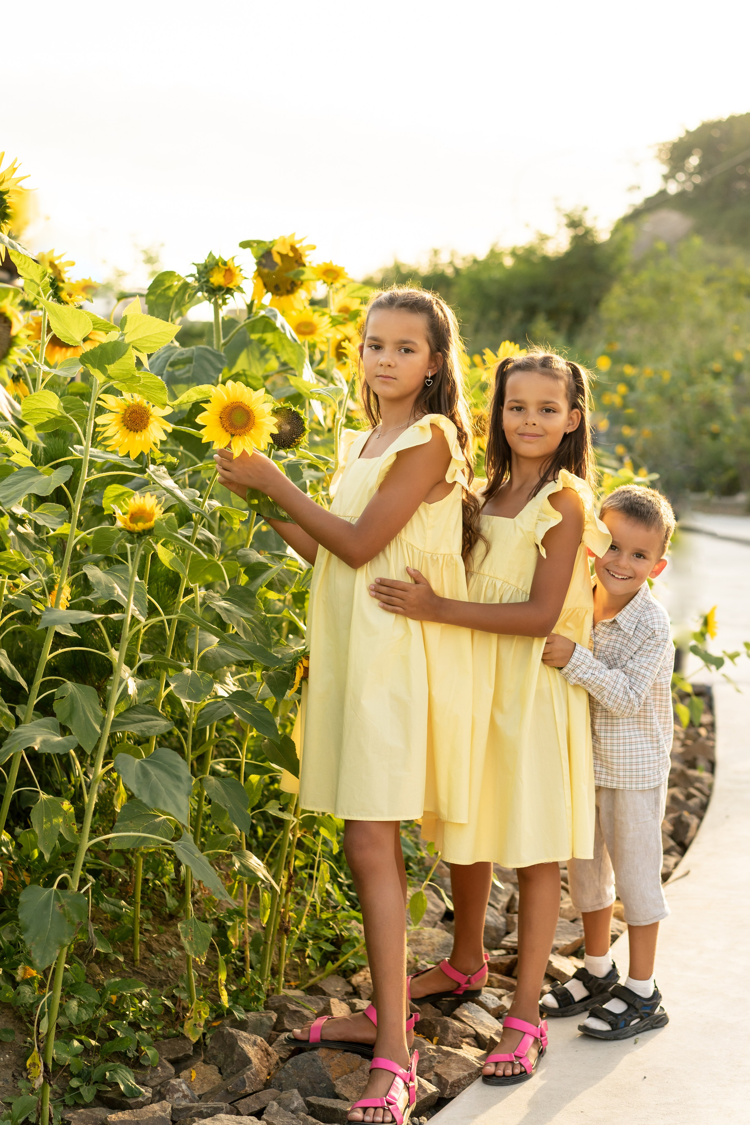 Золотое Лето