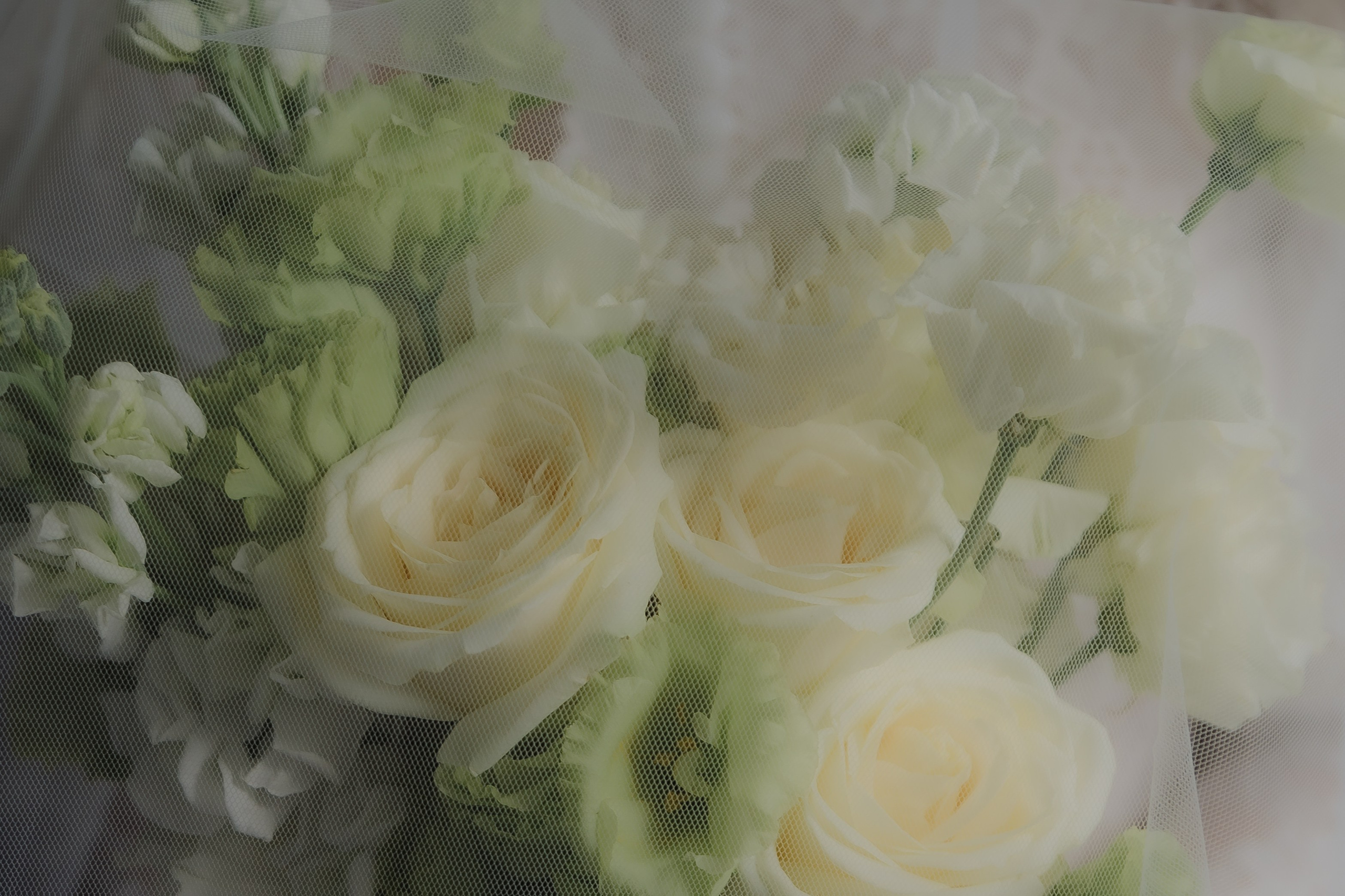 Полный день | Александр & Дарья. Свадебный и женский фотограф в Москве