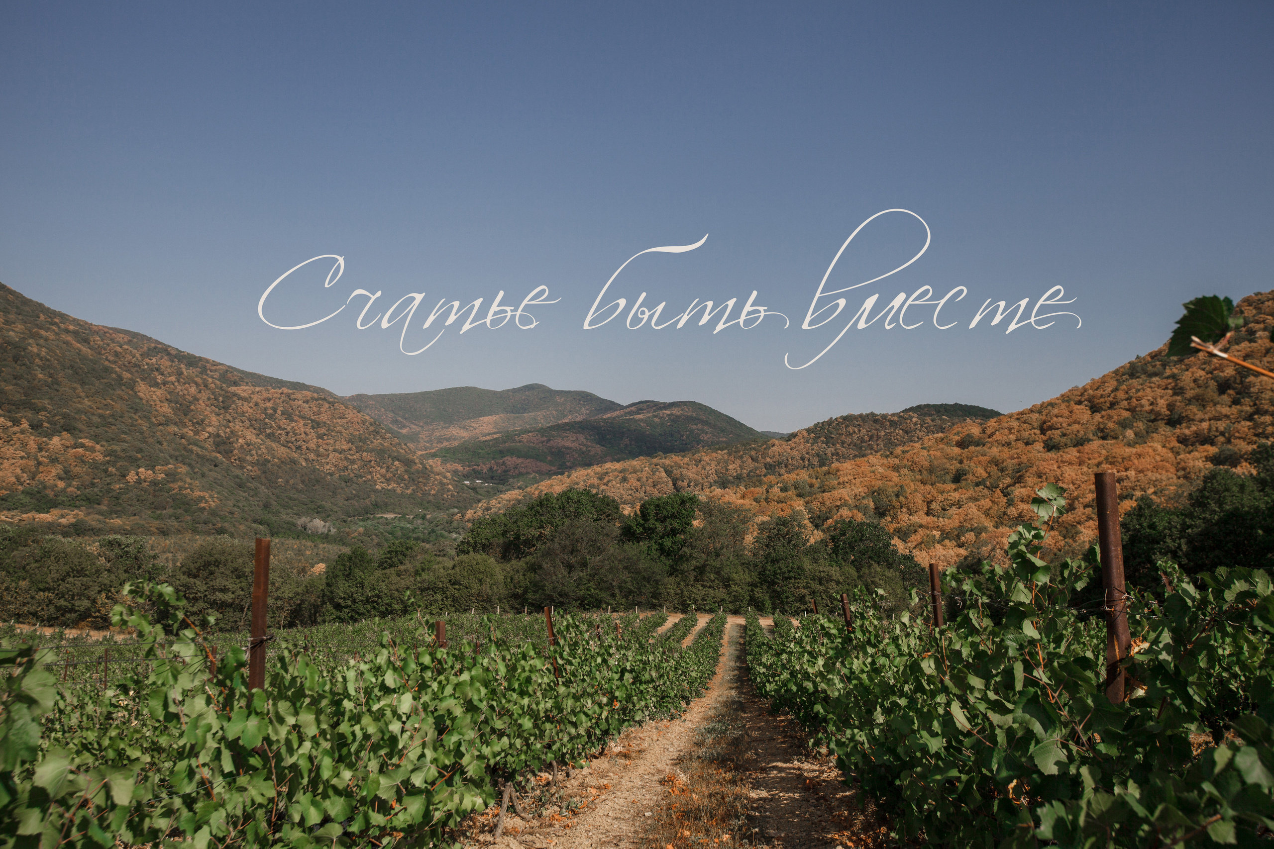 Григорий и Мария. Свадебный и семейный фотограф в Краснодаре