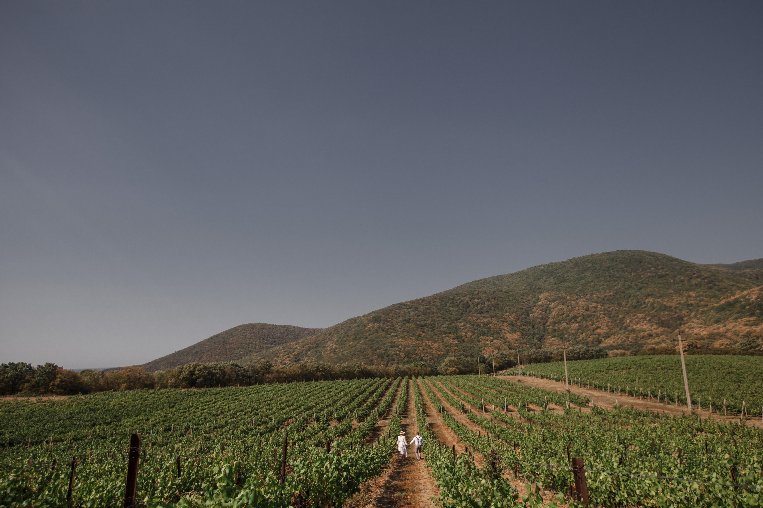 Григорий и Мария. Свадебный и семейный фотограф в Краснодаре