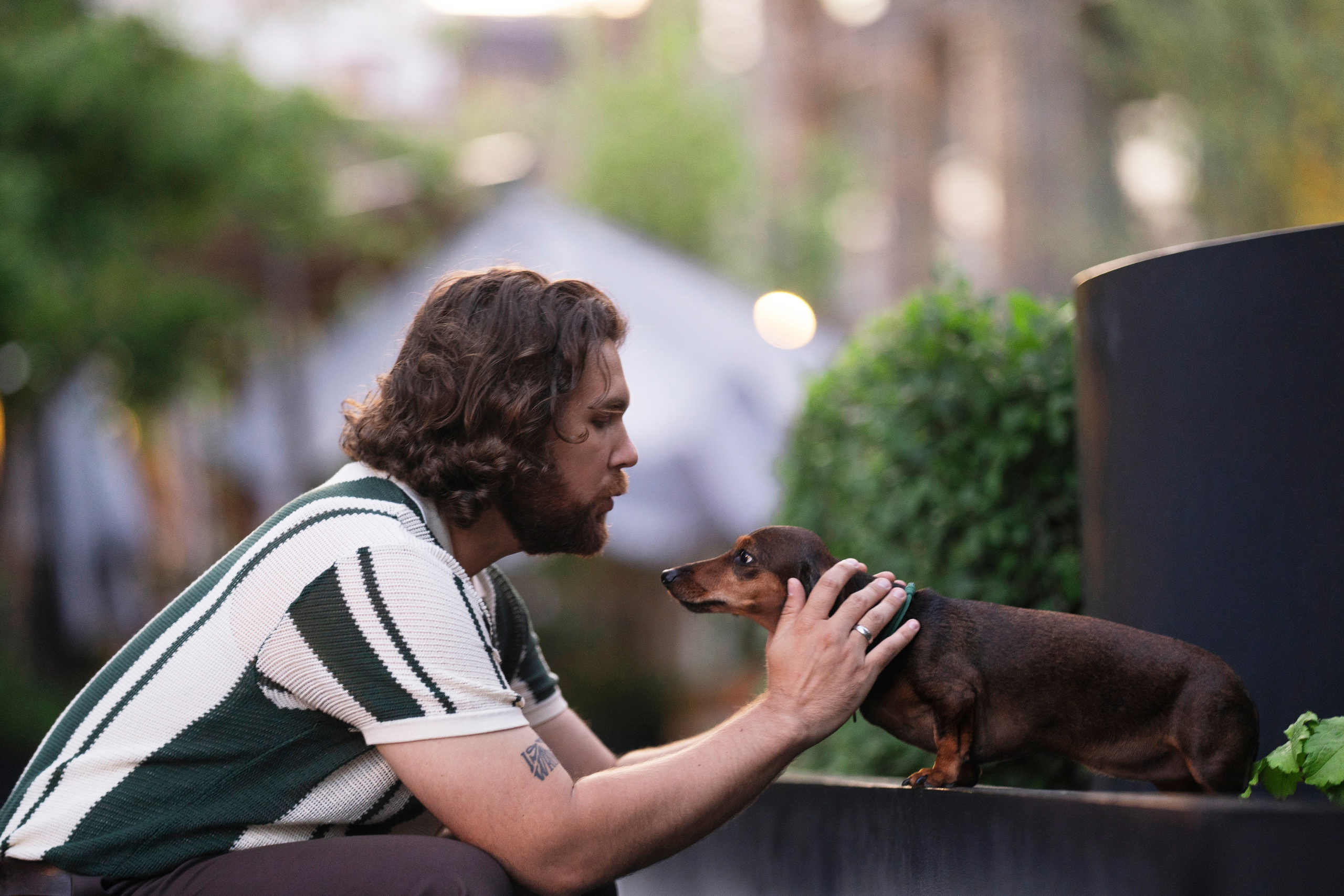 Алексей, Гага и рассвет. Kameramotor74