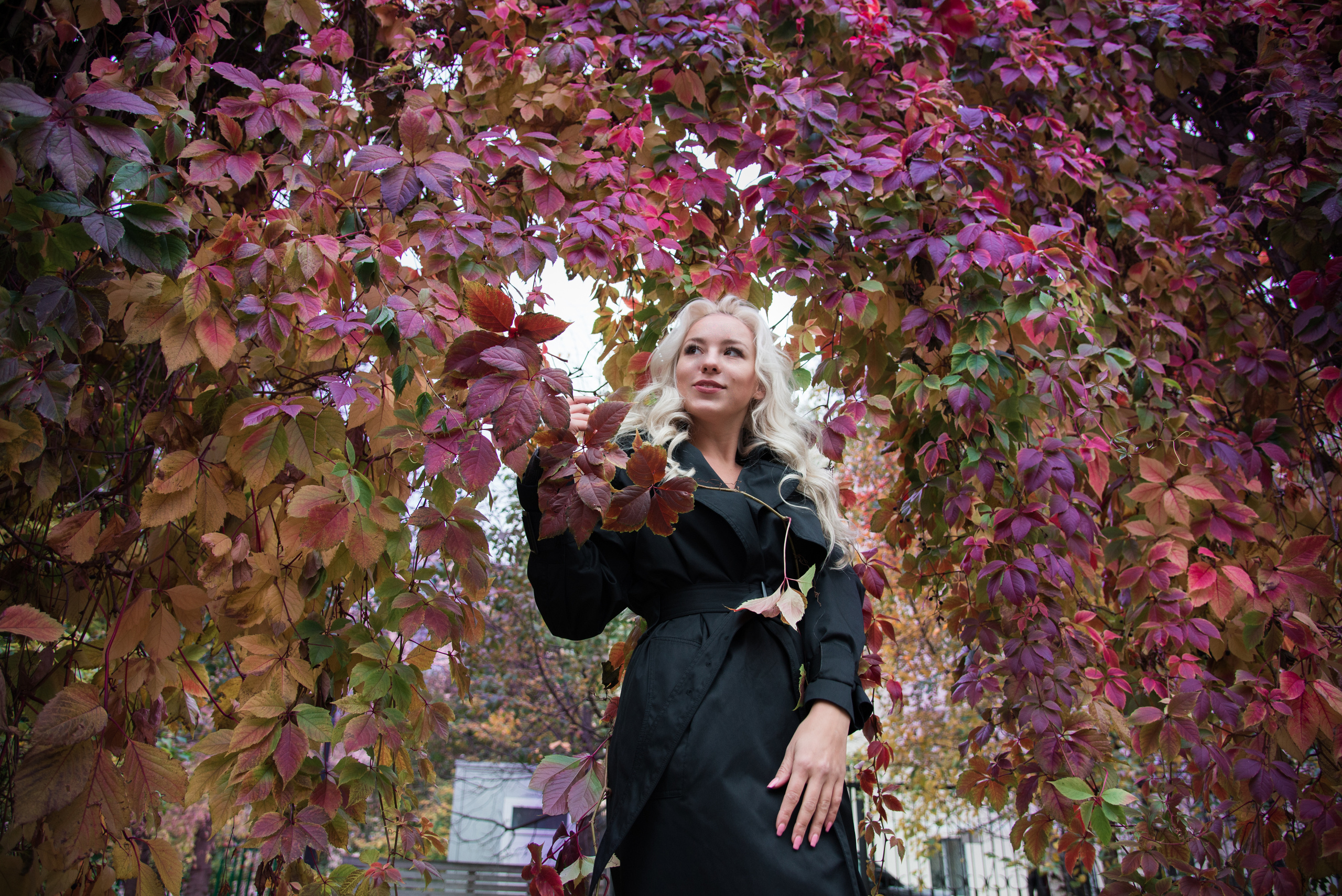 Дарья Кулакова. Индивидуальные и свадебные фотосессии в Москве. Фотограф Маякова Вера