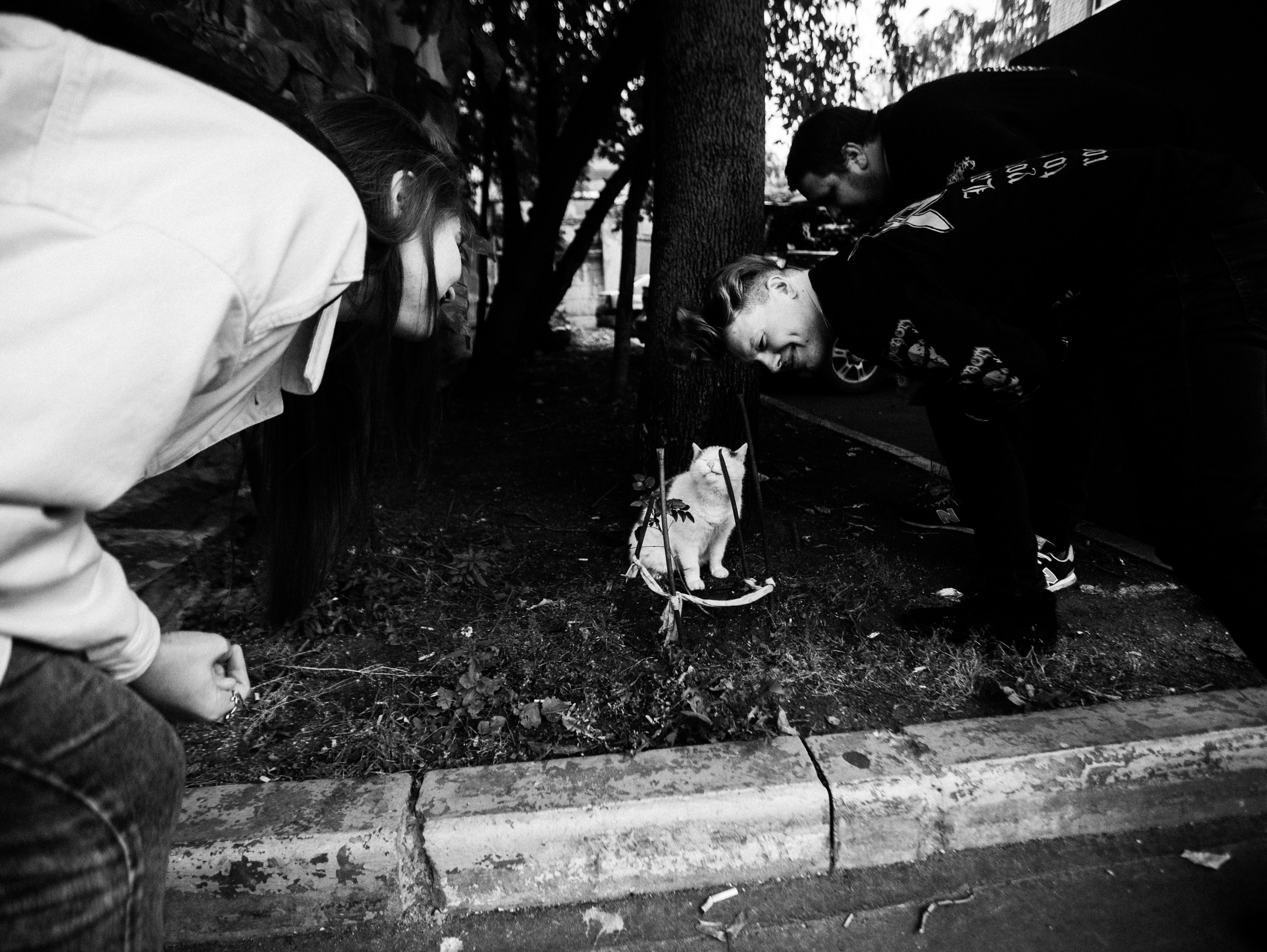 Роад трип TRNA СПБ-Москва 2021. Фотограф Мария Немм