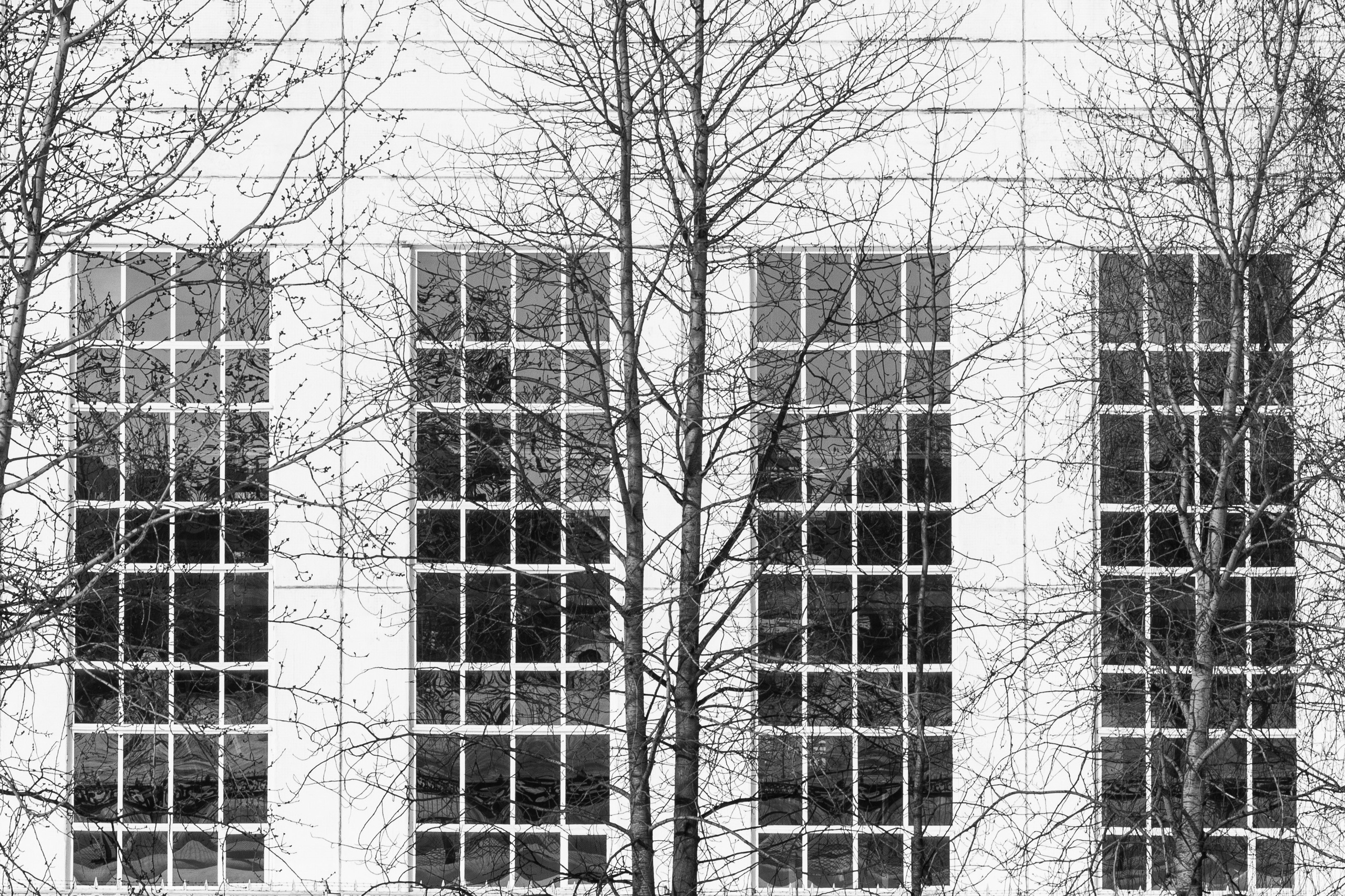 Родные узоры. Россия. Олег Романов. Мастер фото по спорту