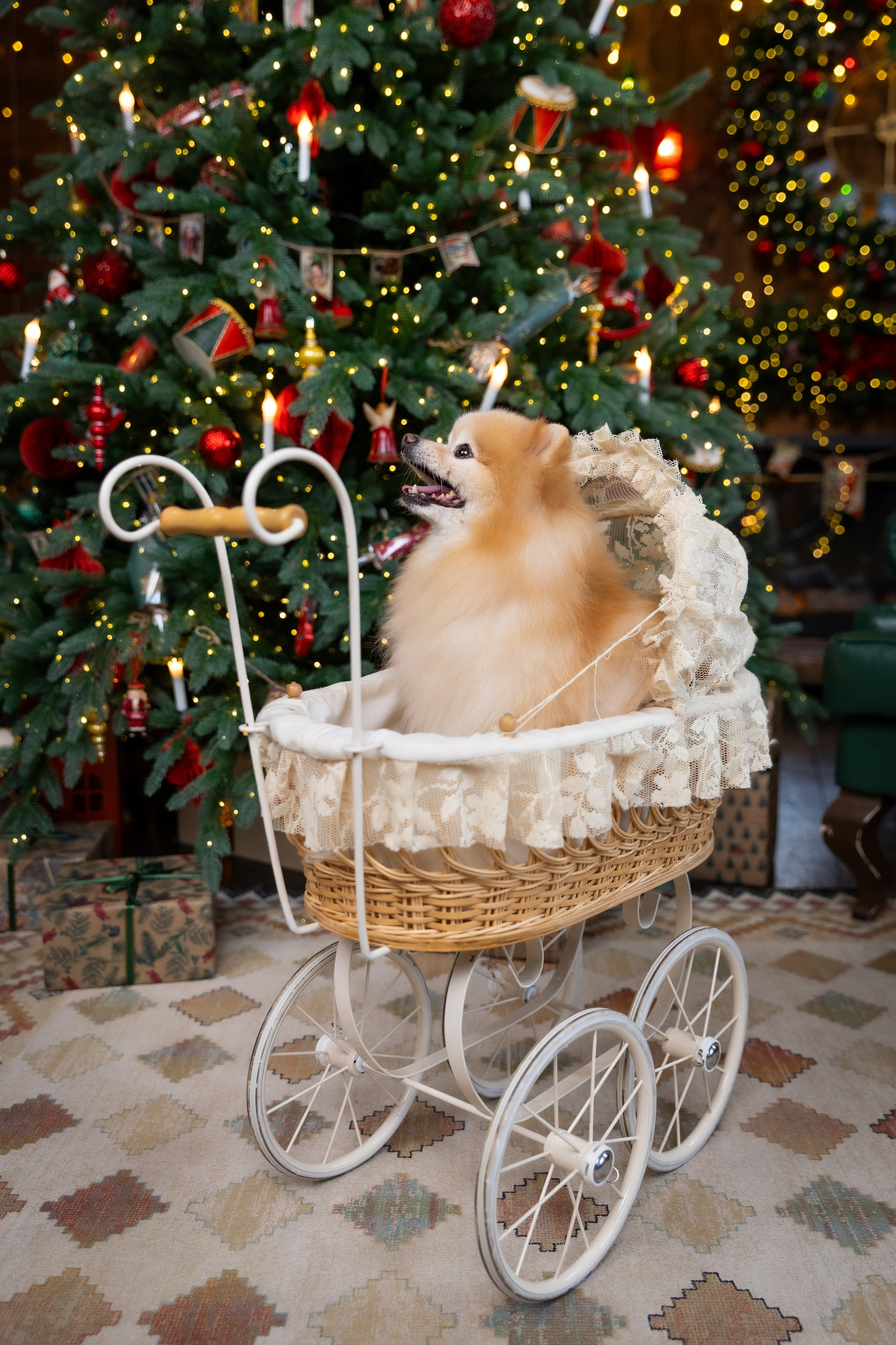 НОВОГОДНЯЯ СЕМЕЙНАЯ. Фотограф в Москве и Стамбуле. Мастер сказочных фотографий