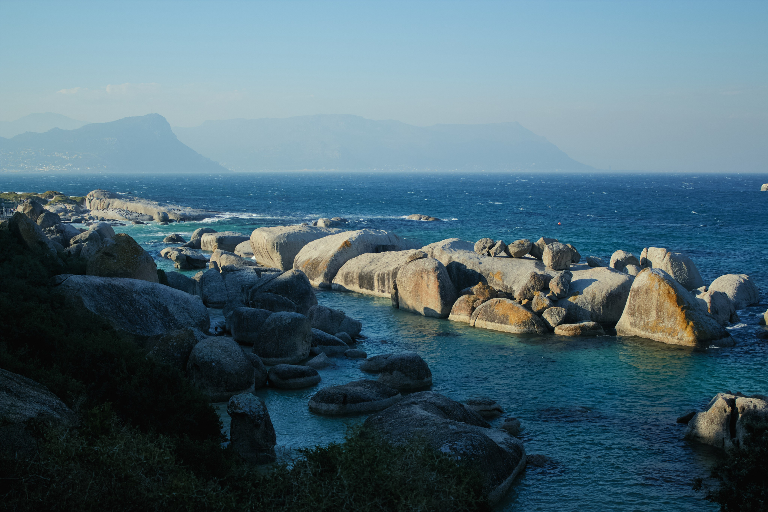 ЮАР. Профессиональный Фотограф во Владимире, в Москве и в Суздале — Полина Романычева