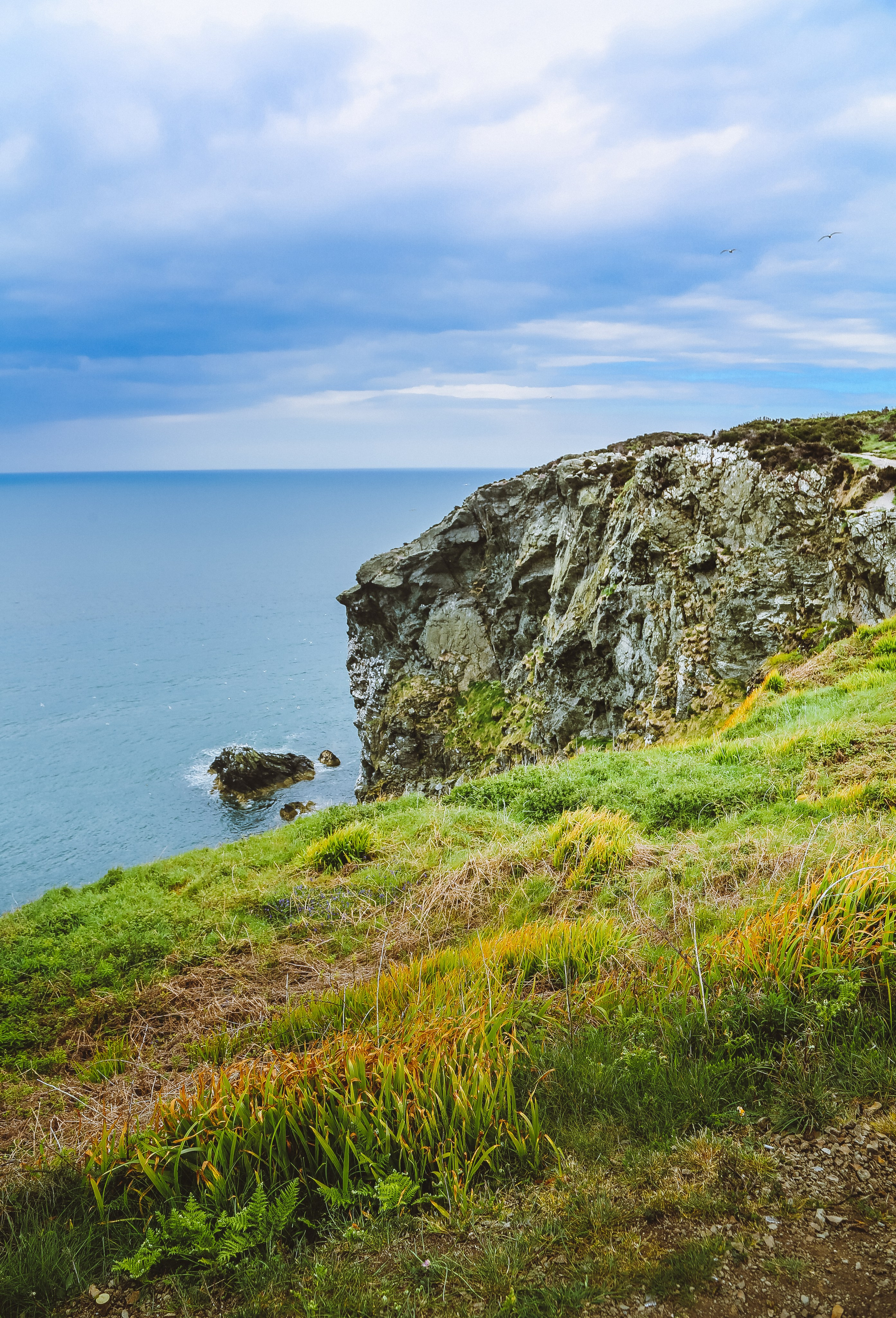 Ирландия: Хоут — тропинка на одного. Дарья Письменюк / Darya Leitstern — фотограф, музыкант, журналист, путешественник