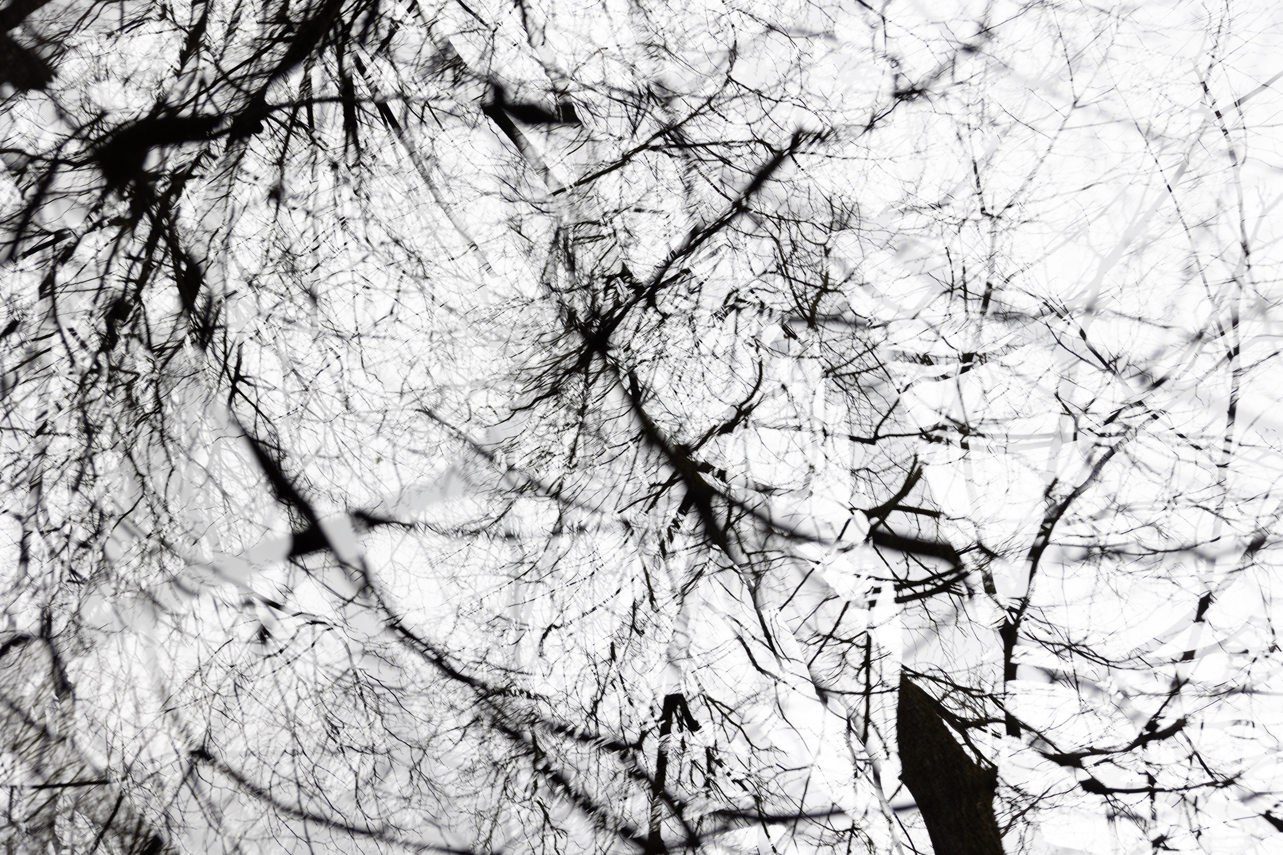 Точка сборки | The assembly point. Фотограф алина стерхова, алина стерхова фотограф, фотограф москва