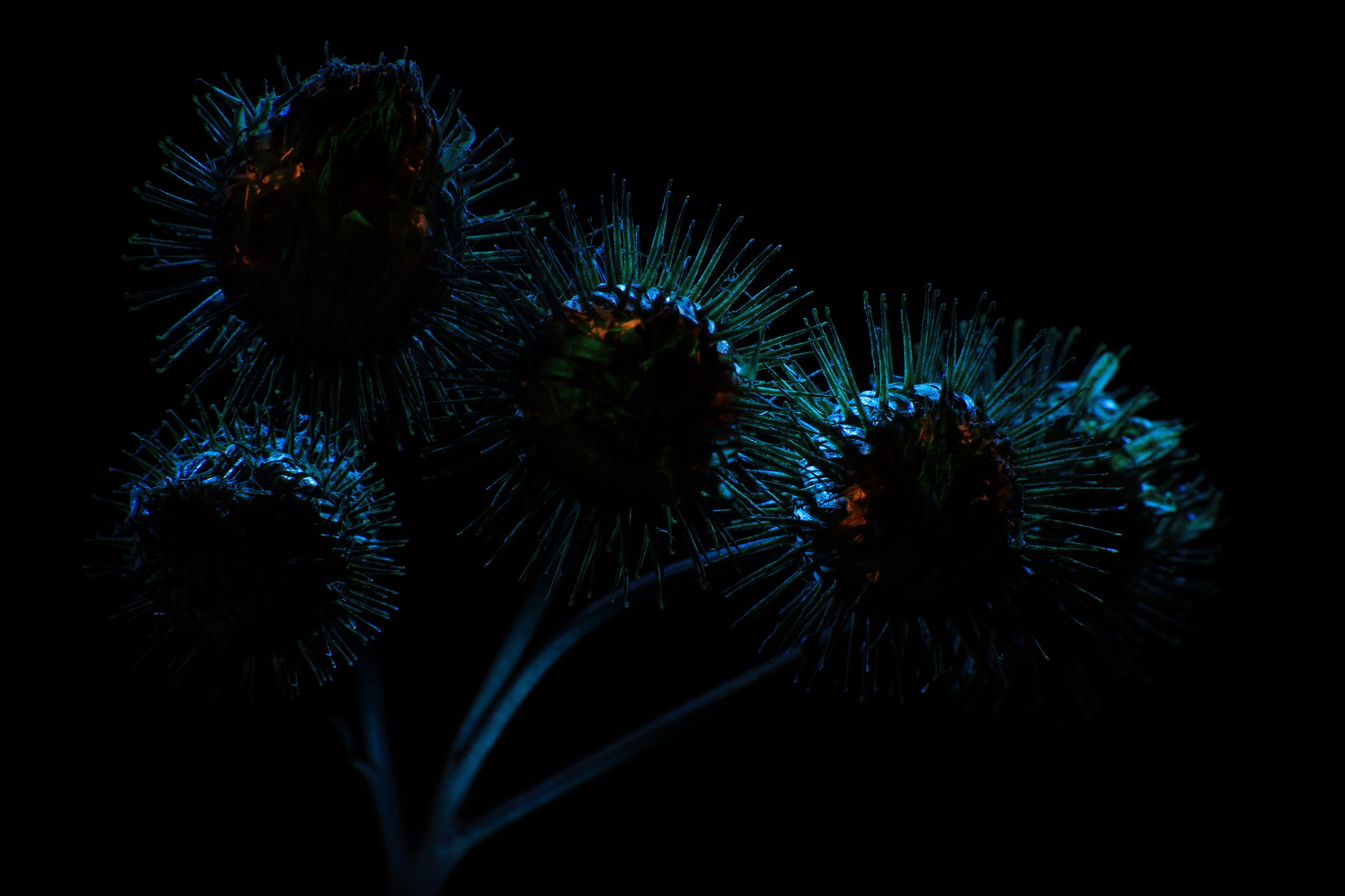 Арт-фотограф во Владивостоке Дмитрий Осипчук