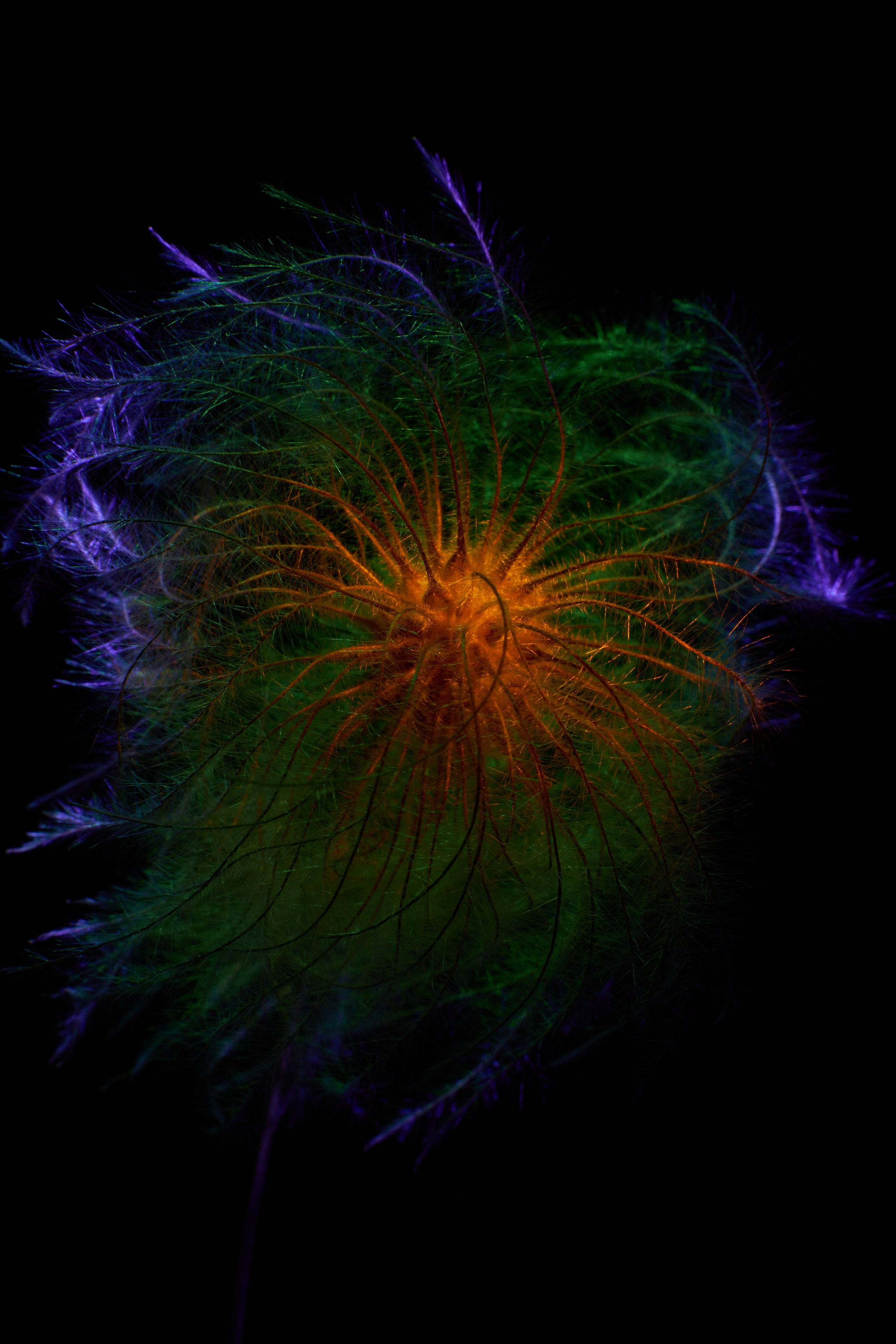 «Красок Тьма Полна». Арт-фотограф во Владивостоке Дмитрий Осипчук