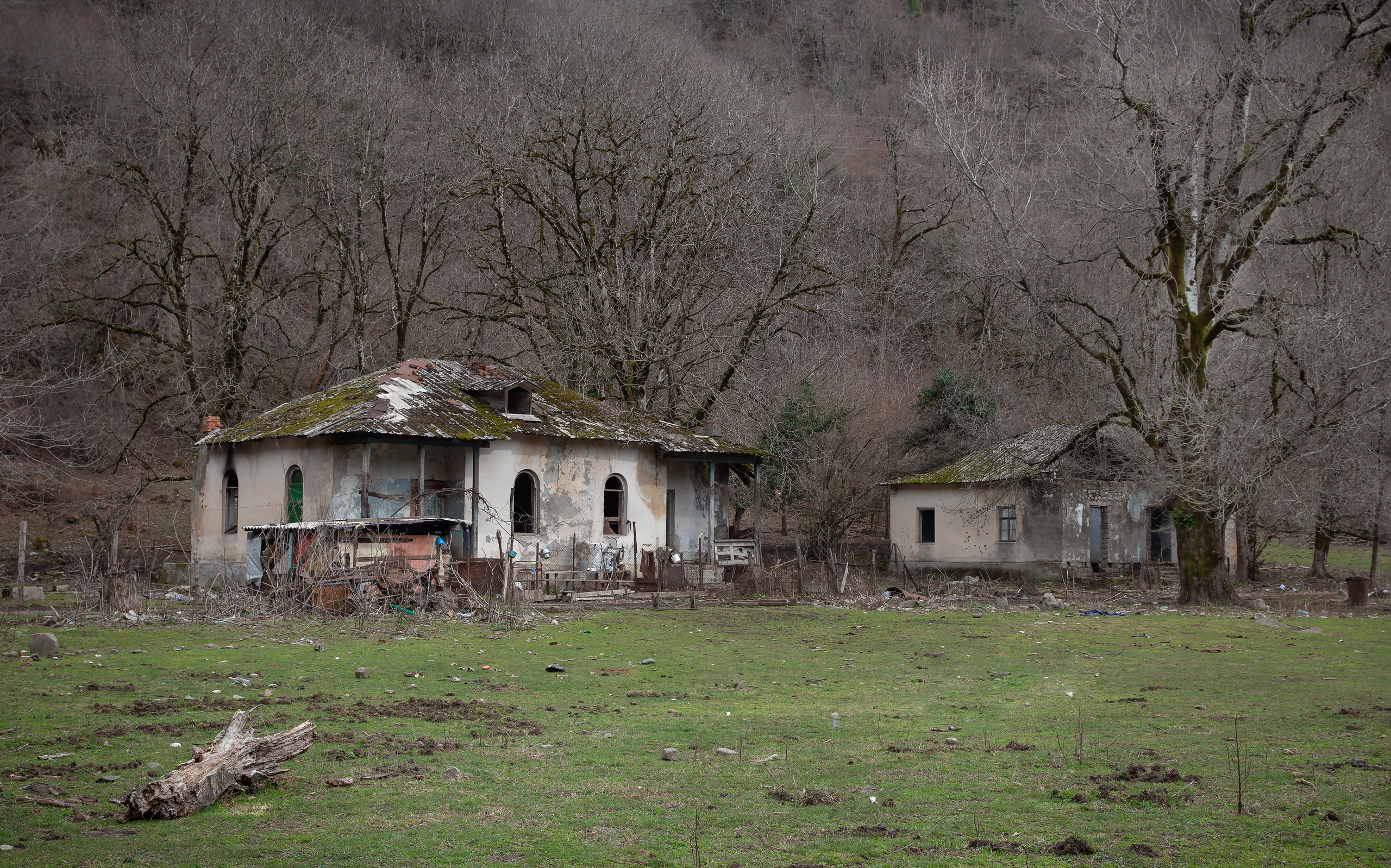 Роза Хутор-Красная поляна -Абхазия. Мой фотомир