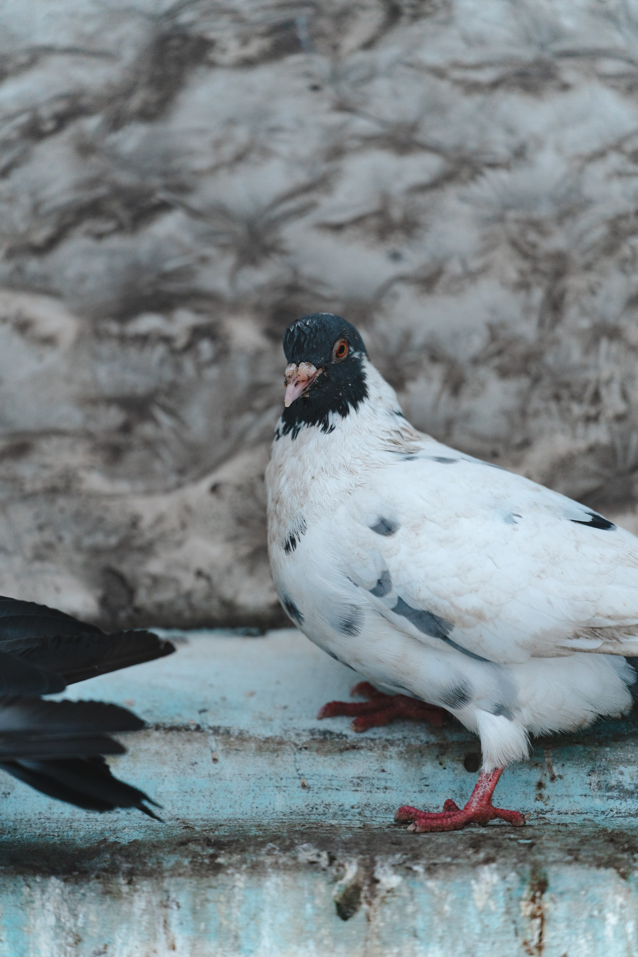 Воркута, Октябрь 2024