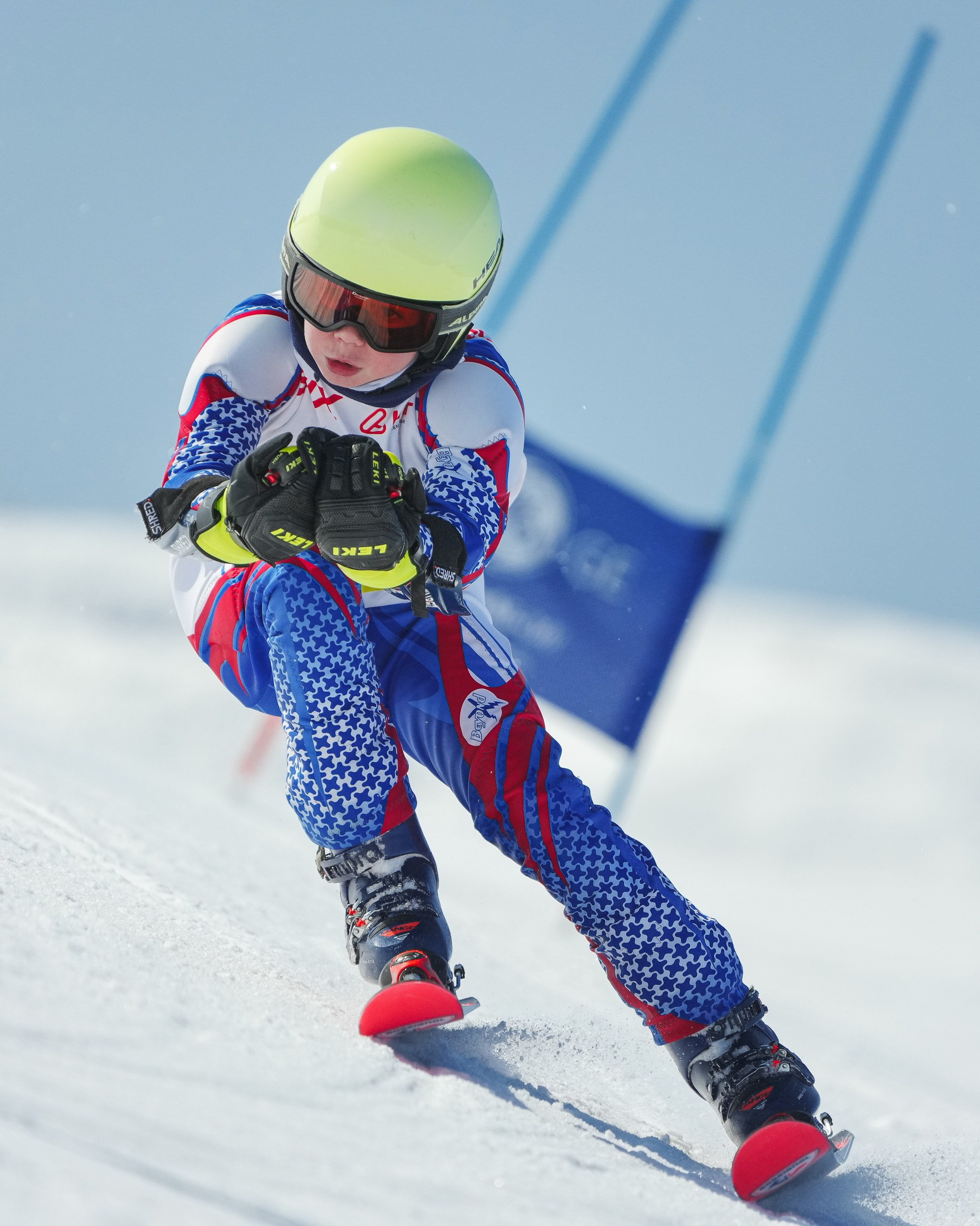 GS (Giant Slalom) - Слалом-гигант. Соревнования по горнолыжному спорту. Московская область, Шуколово