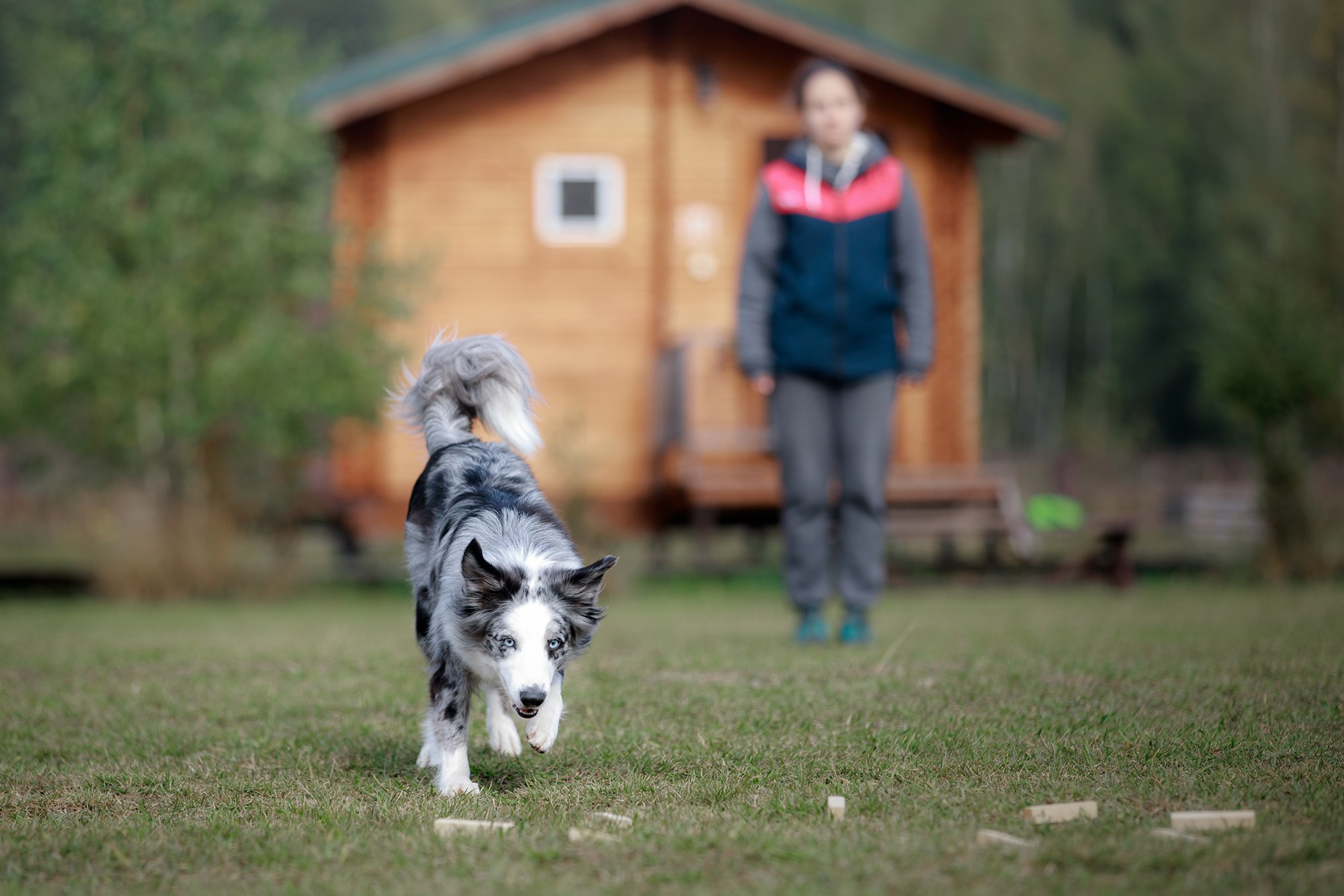 Лагерь по ОБД с Инной Баженовой. Фотограф-анималист Mary Mart — Москва, Питер