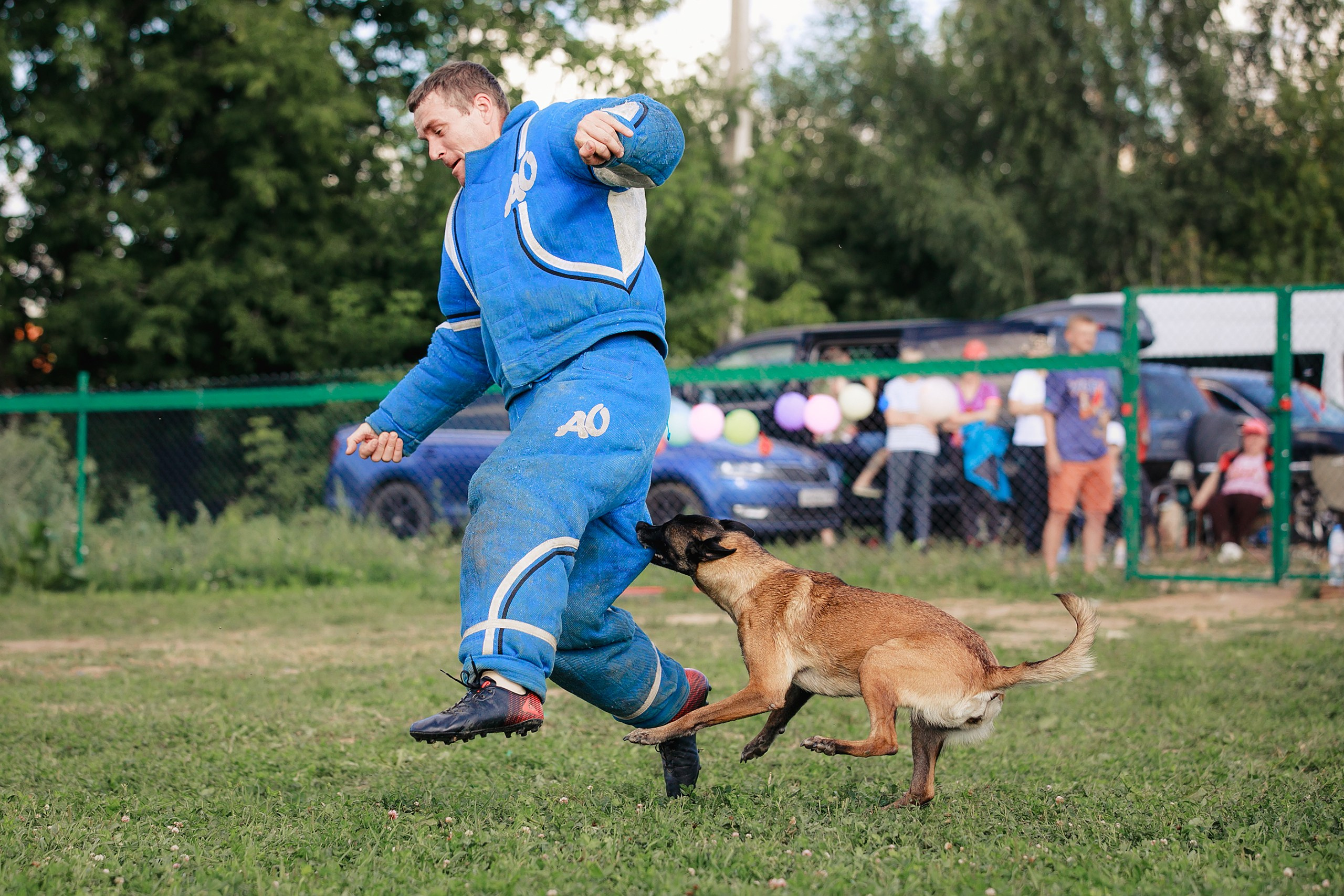 Мондьоринг М1, М2, М3, Вологда. Фотограф-анималист Mary Mart — Москва, Питер