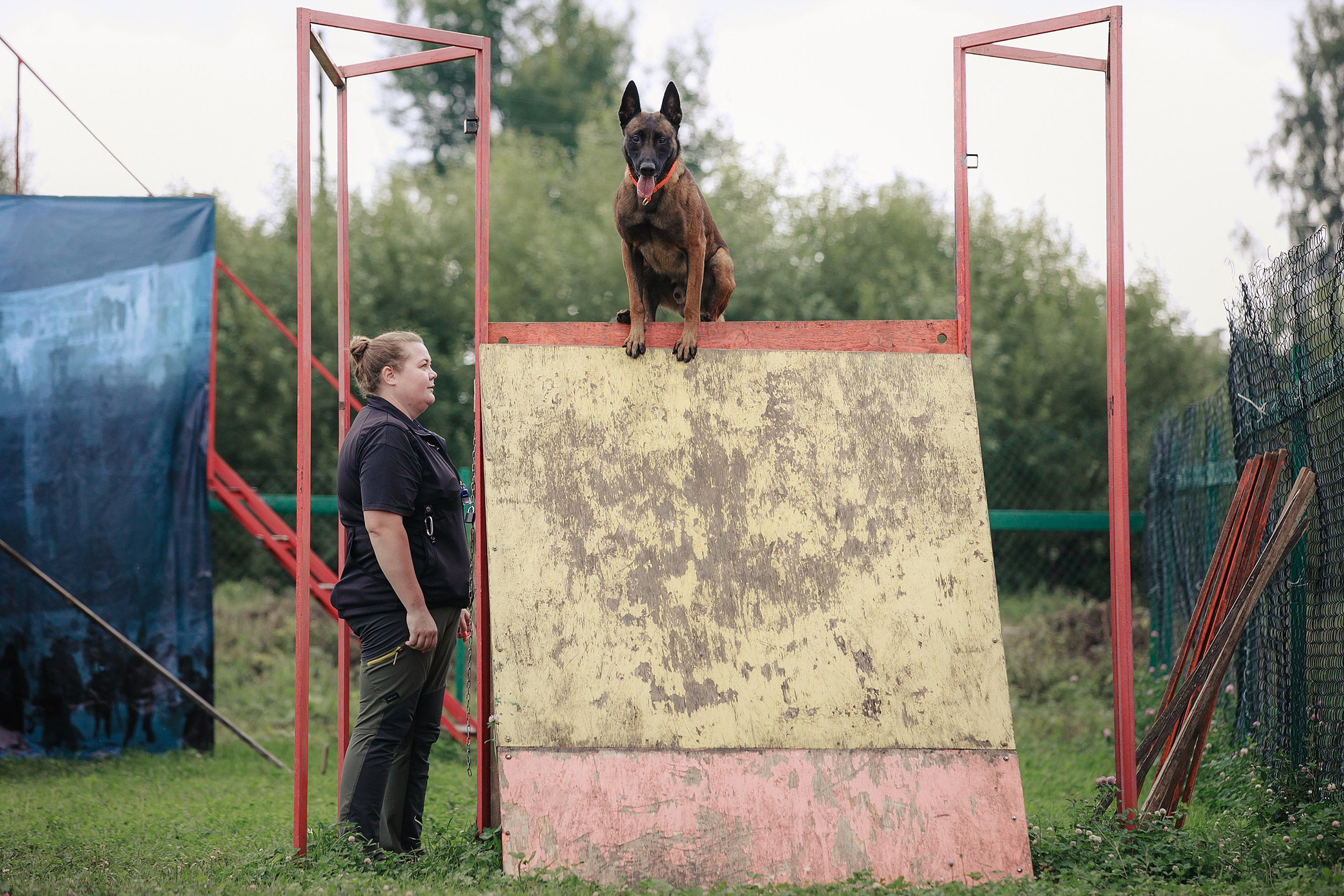 Мондьоринг М1, М2, М3, Вологда. Фотограф-анималист Mary Mart — Москва, Питер
