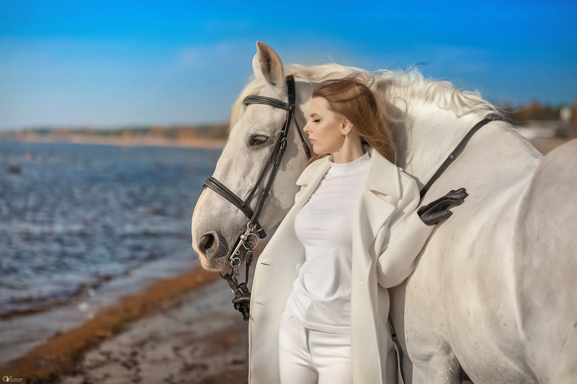 Фотосессии с лошадьми осенью. Фотограф женский и мужской портрет Санкт-Петербург