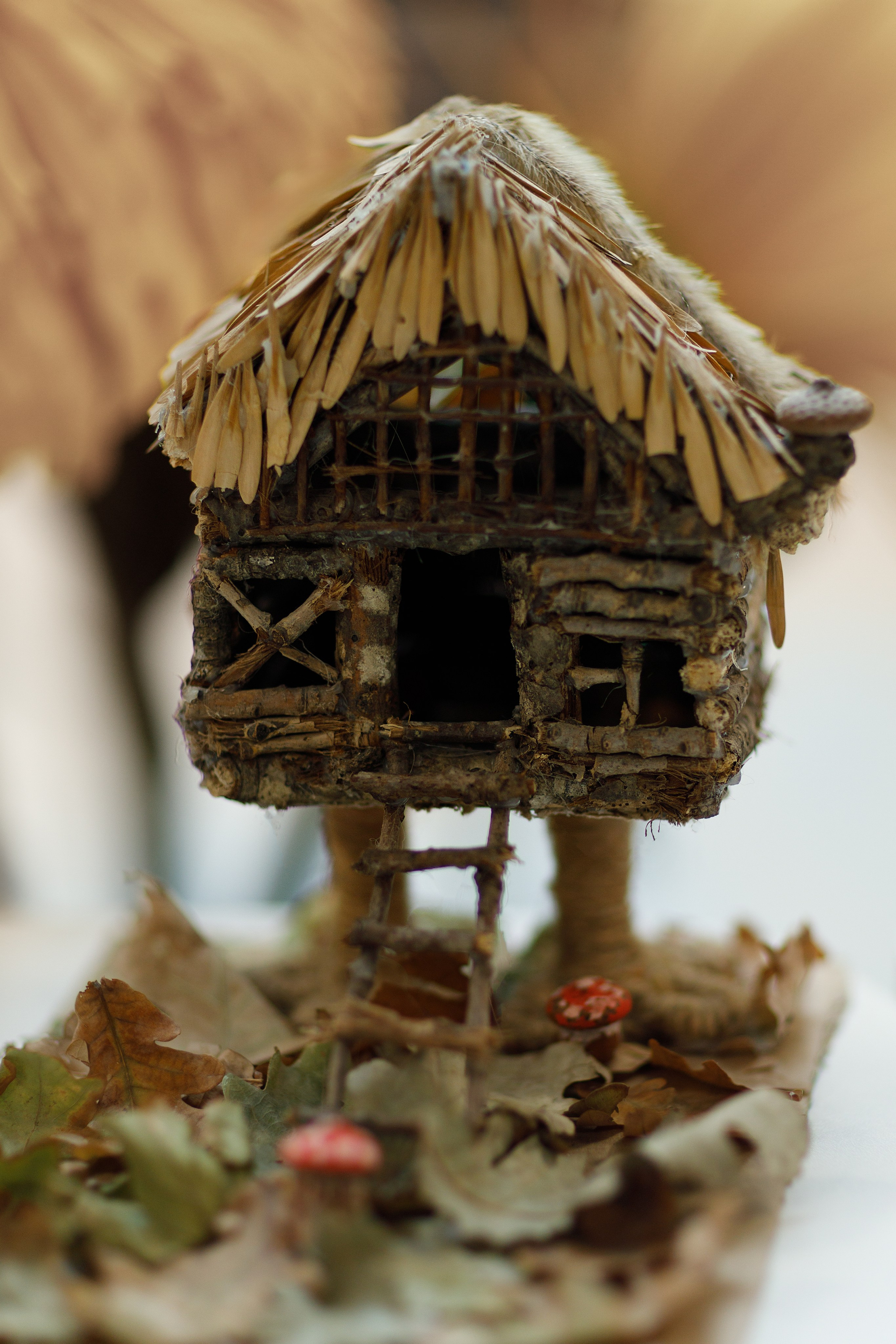 Проект «366»|2024|Фото каждый день. LENA GRACE photographer ||ЛЕНА ГРЭЙС фотограф