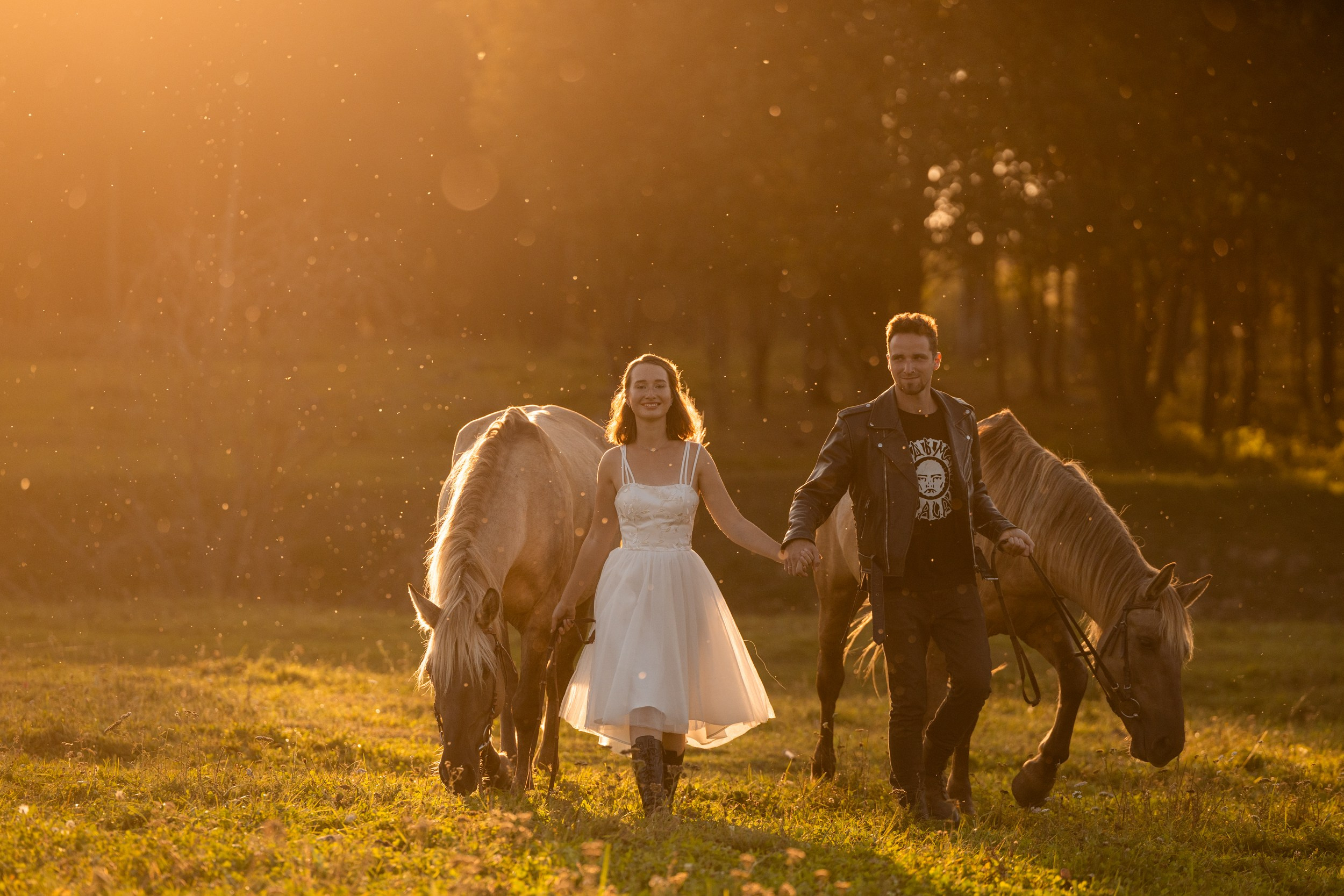 Love Story. Фотограф-анималист Юлия Удовенко