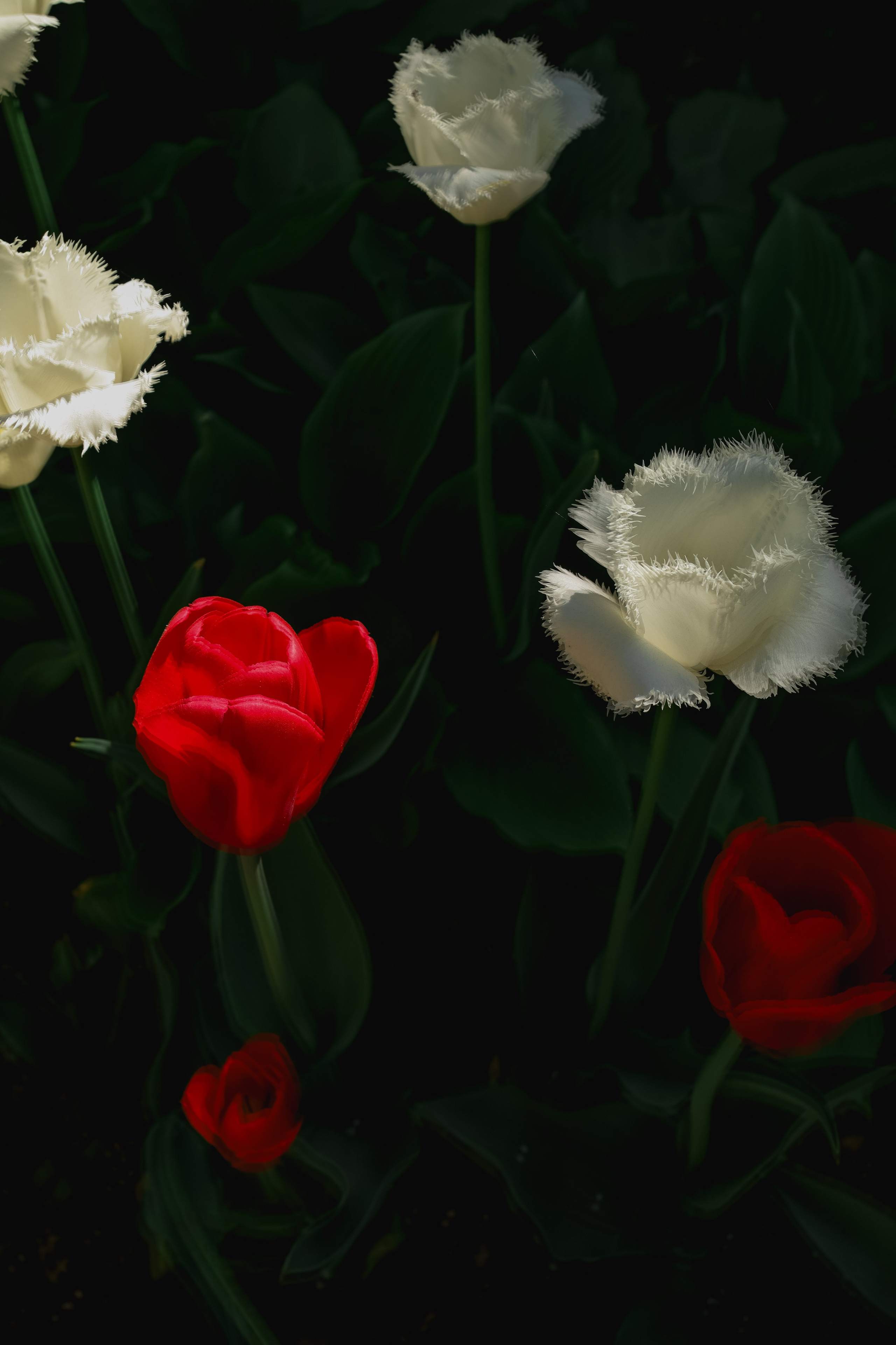 Природа &. Фотохудожник в СПб