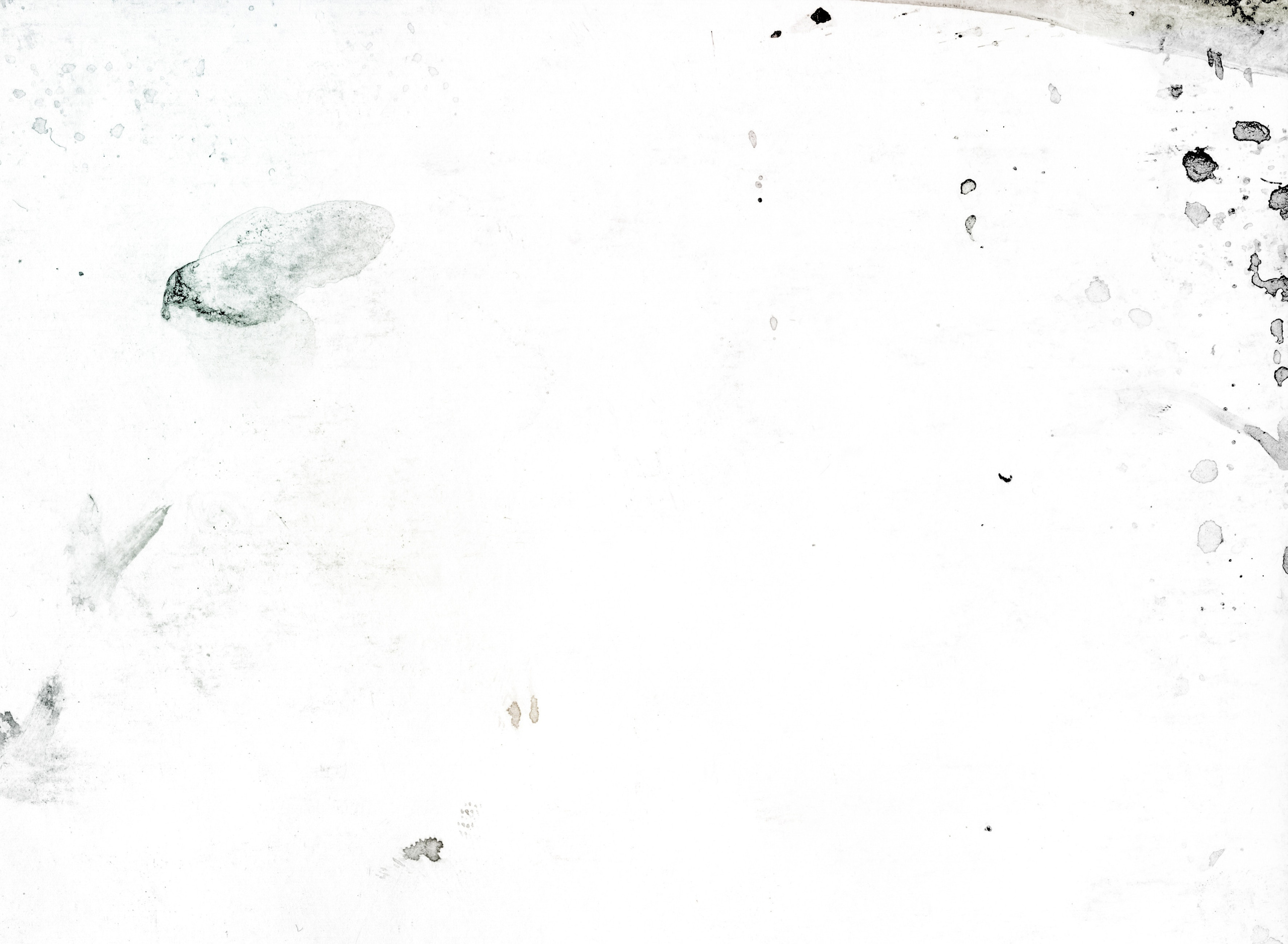 Абстракция. Фотограф Юлия Андриянова Саратов