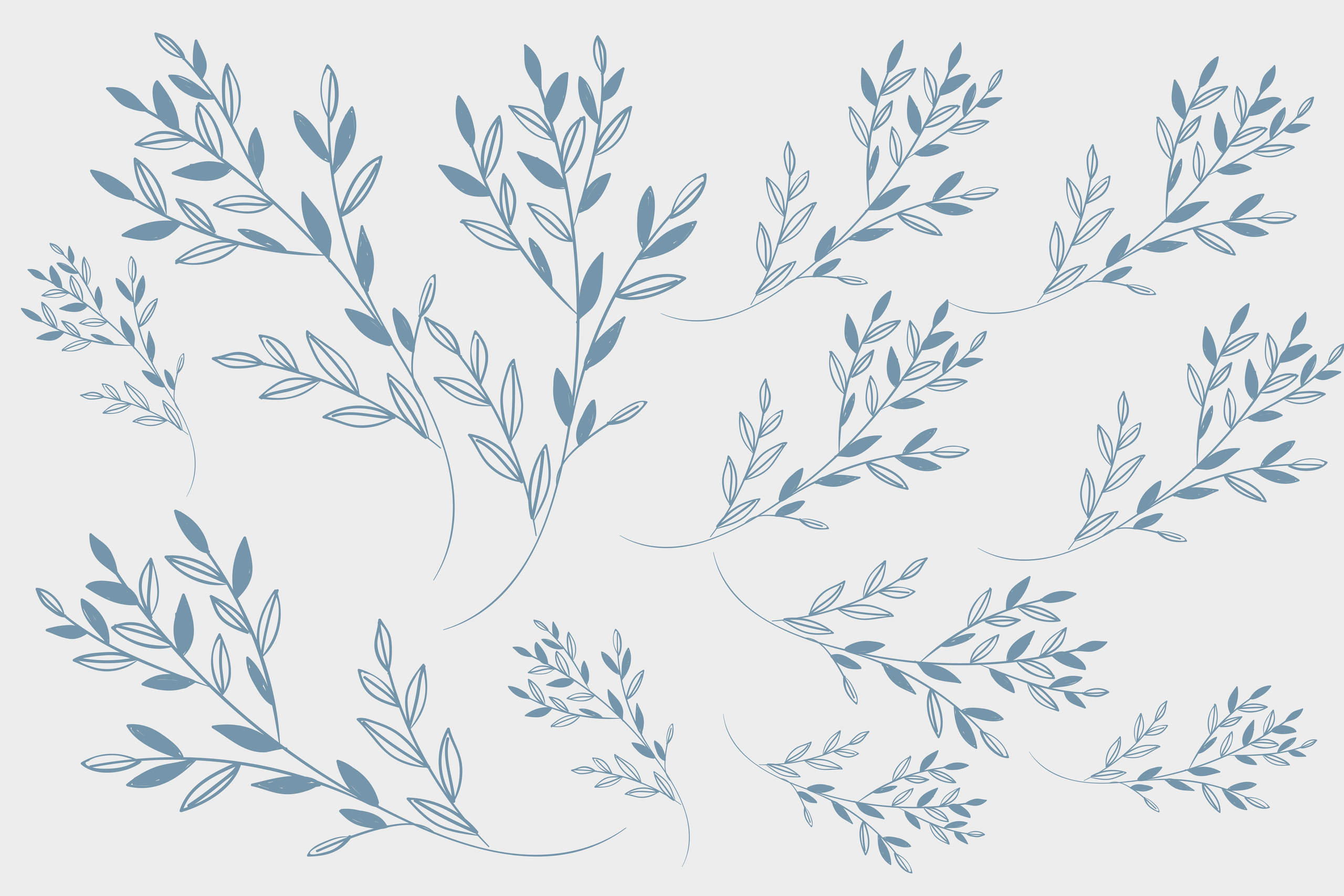 Цветы/листы. Фотограф Юлия Андриянова Саратов