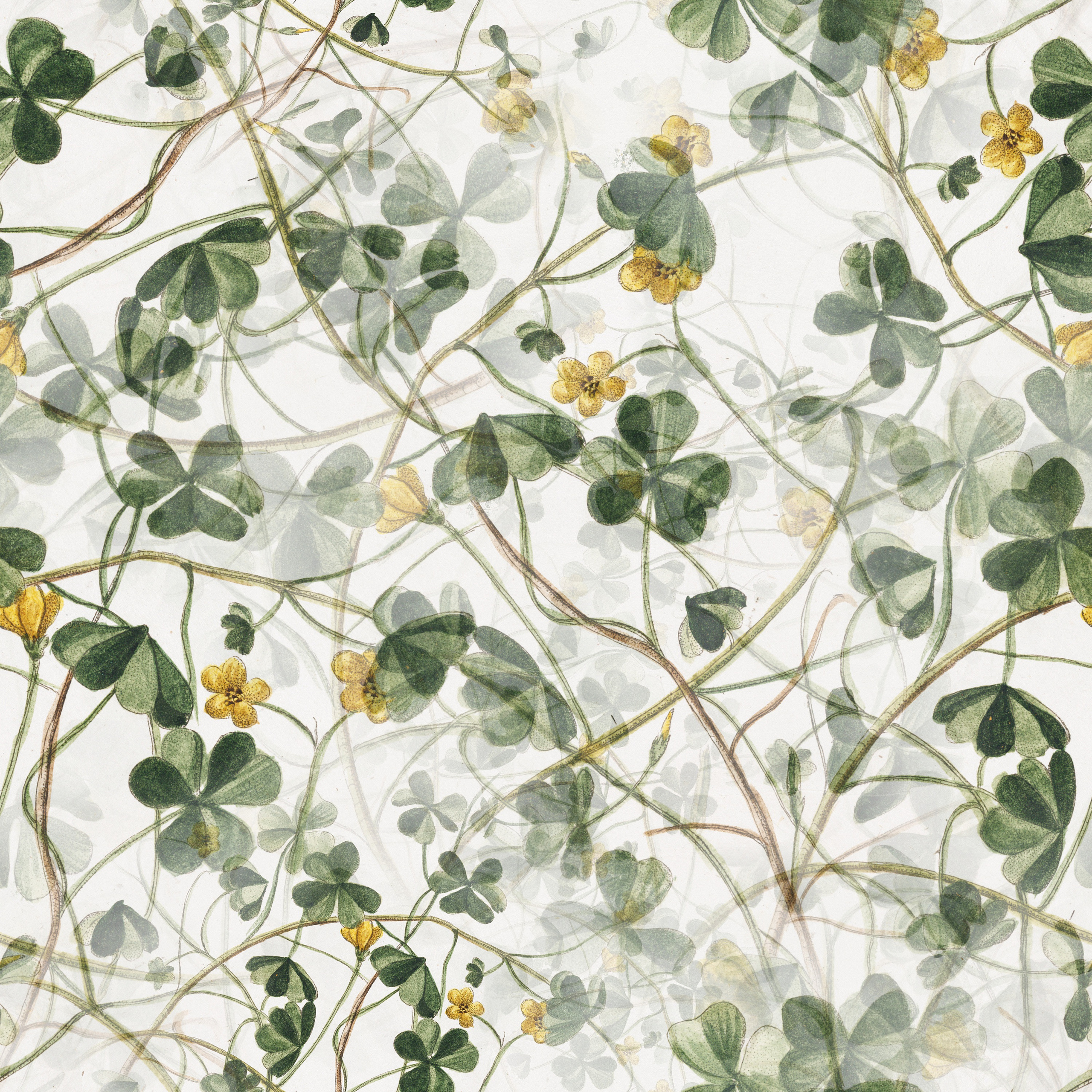 Цветы/листы. Фотограф Юлия Андриянова Саратов