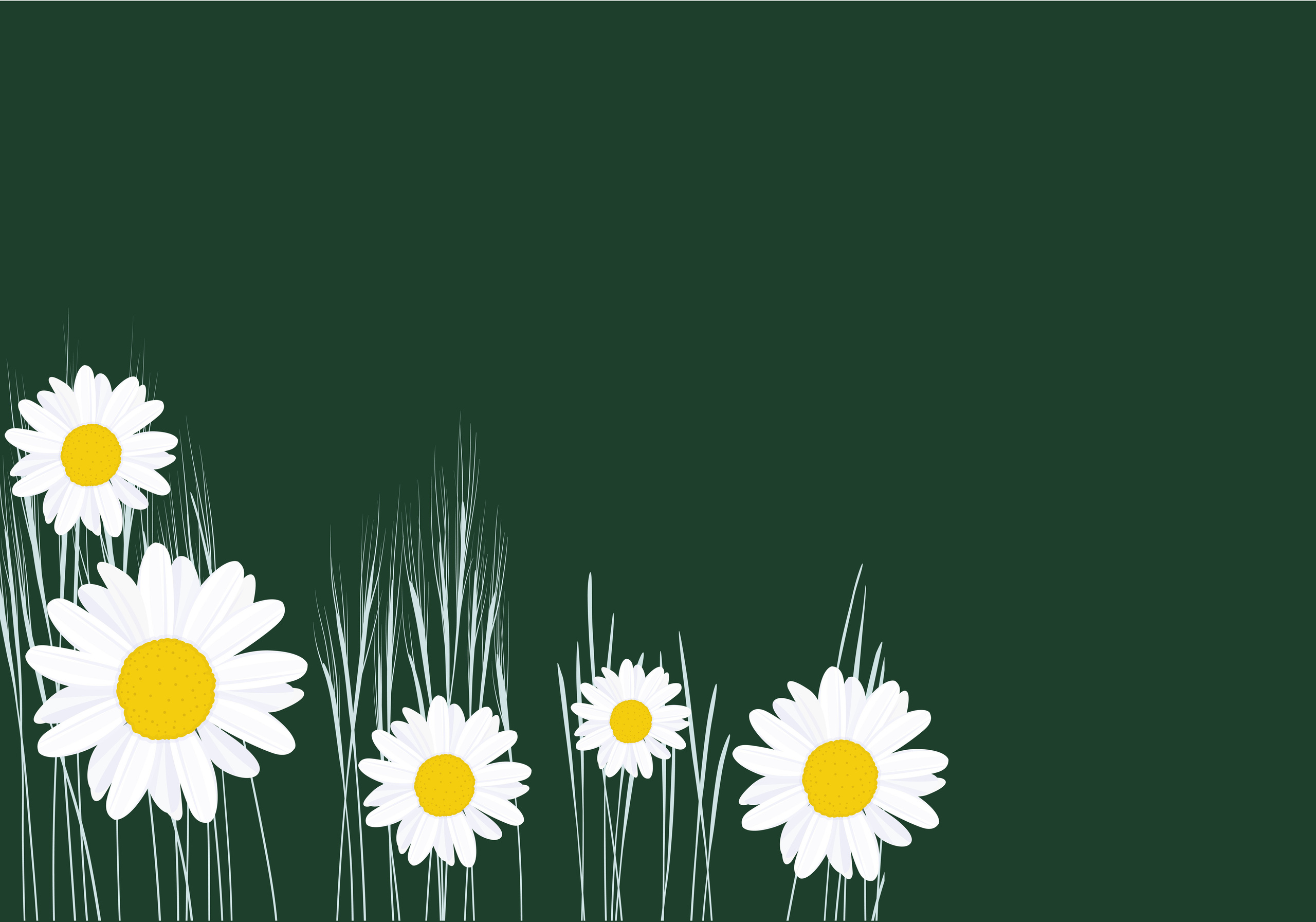 Цветы/листы. Фотограф Юлия Андриянова Саратов